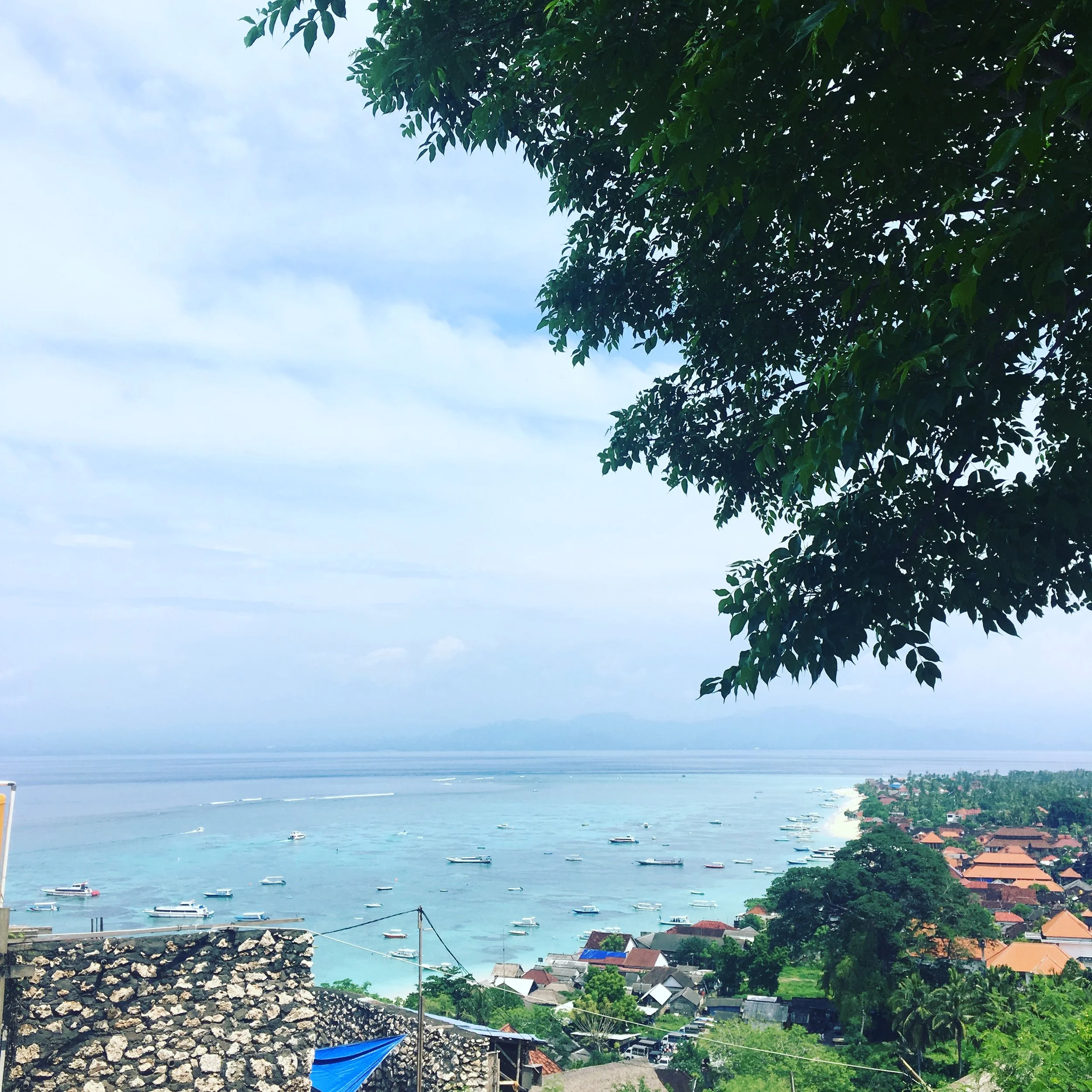 A scenic view of a coastal village with houses and boats on a turquoise sea, framed by a large tree's branches and leaves at the top right.