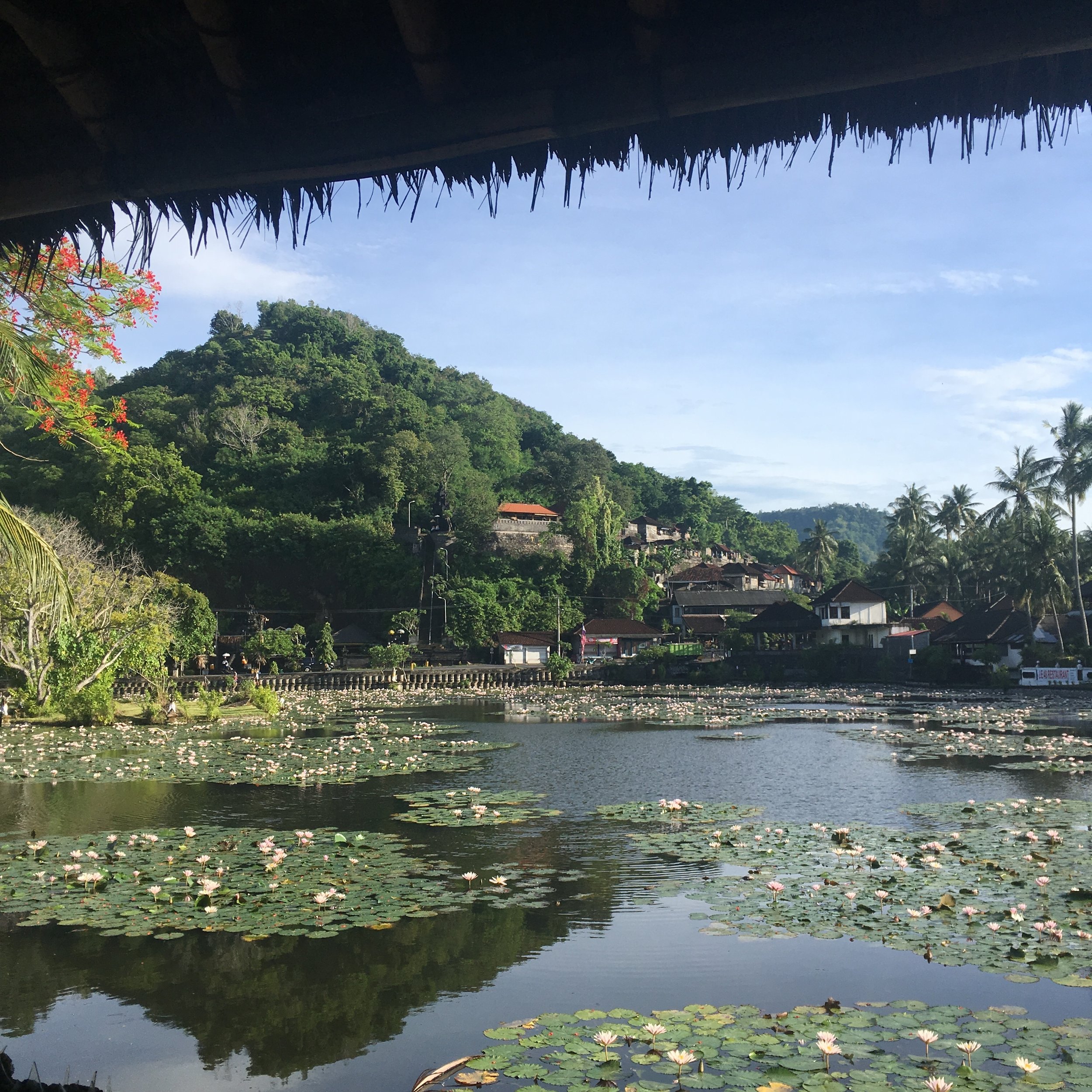 Scenic view of a tranquil pond with lily pads and lotus flowers, surrounded by lush green hills and traditional buildings. The scene is framed by a thatched roof, with palm trees in the background under a clear blue sky.