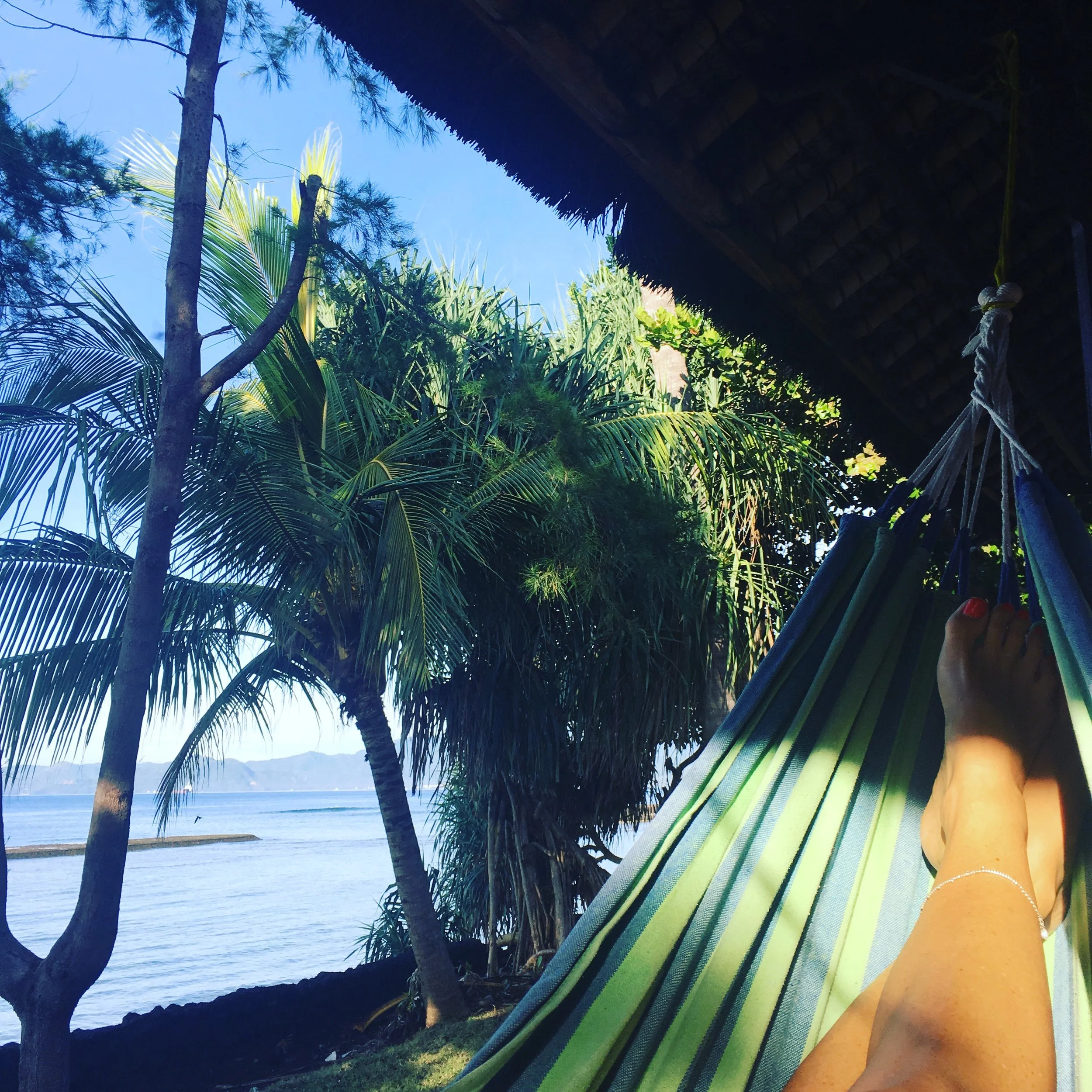 Person relaxing in a hammock by the beach with palm trees and ocean view.