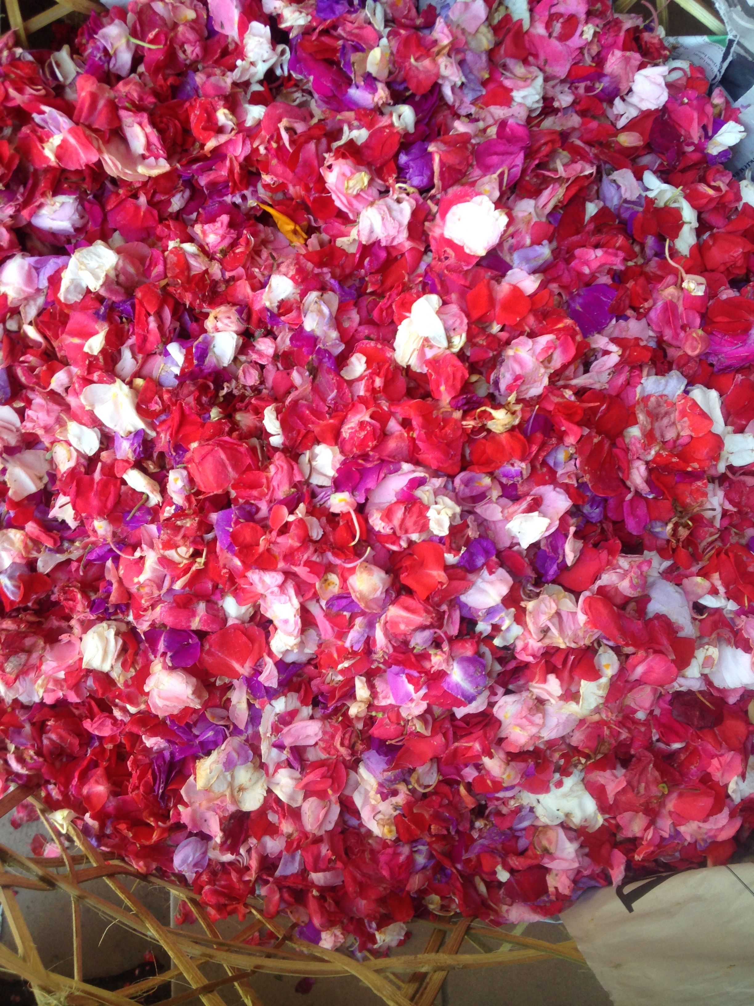 Assorted colorful flower petals, including red, pink, white, and purple, spread in a basket.