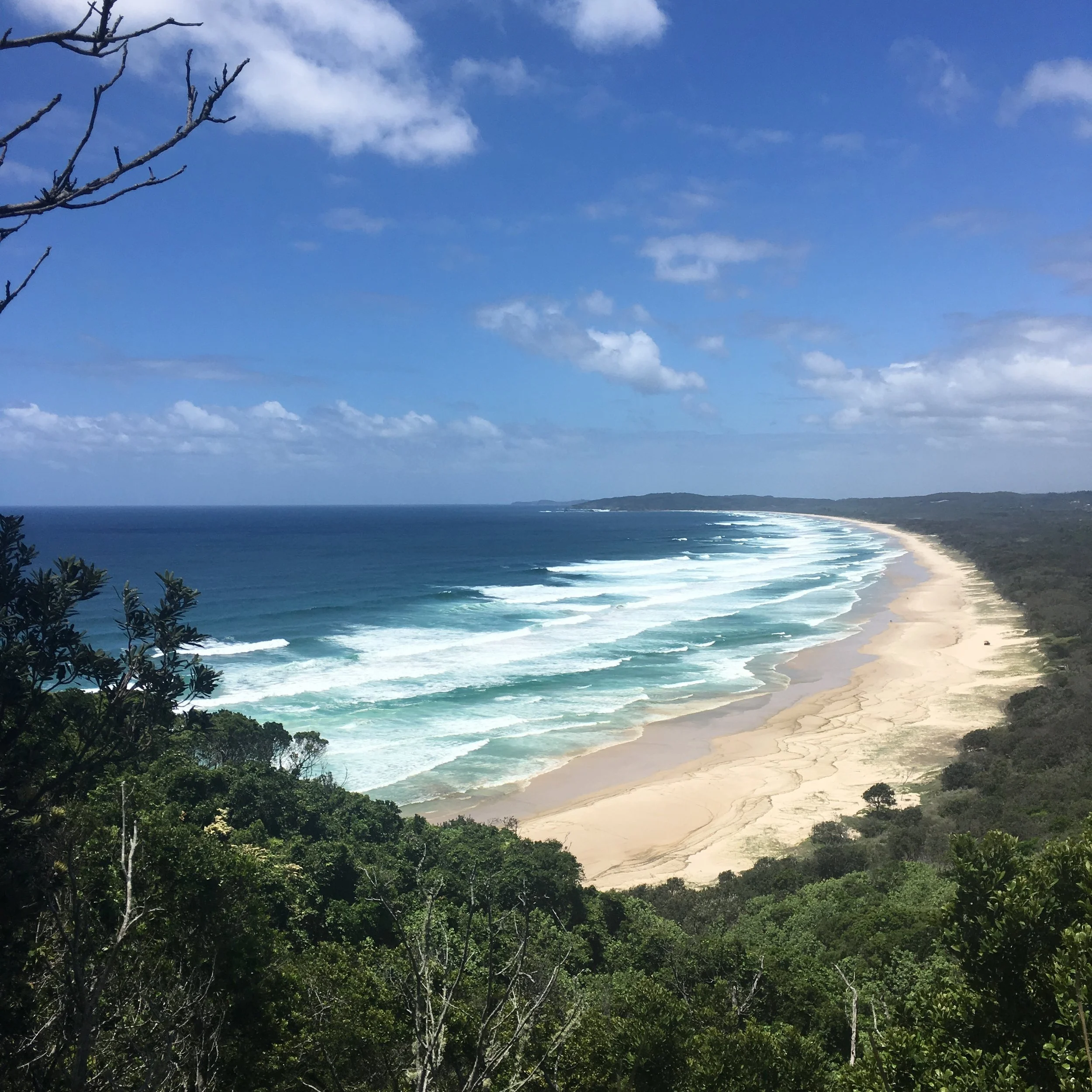 Scenic beach view with waves and surrounding greenery under a blue sky.