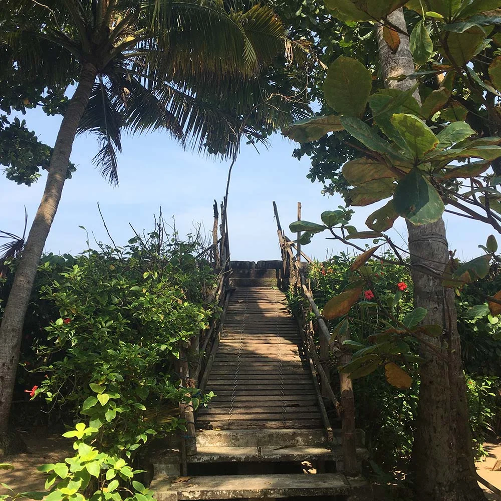 Wooden footbridge surrounded by lush tropical vegetation, including palm trees and shrubs, leading up a small incline.