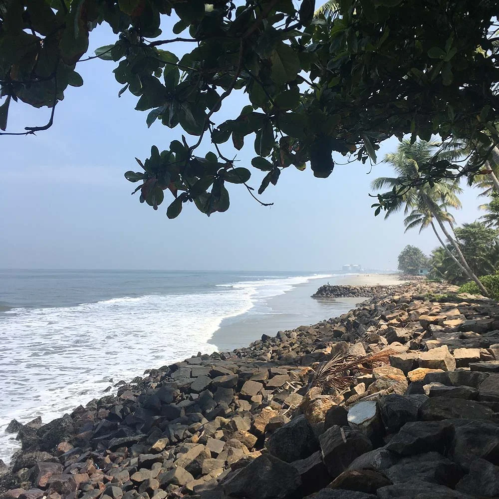 Rocky beach with ocean waves and palm trees on a clear day