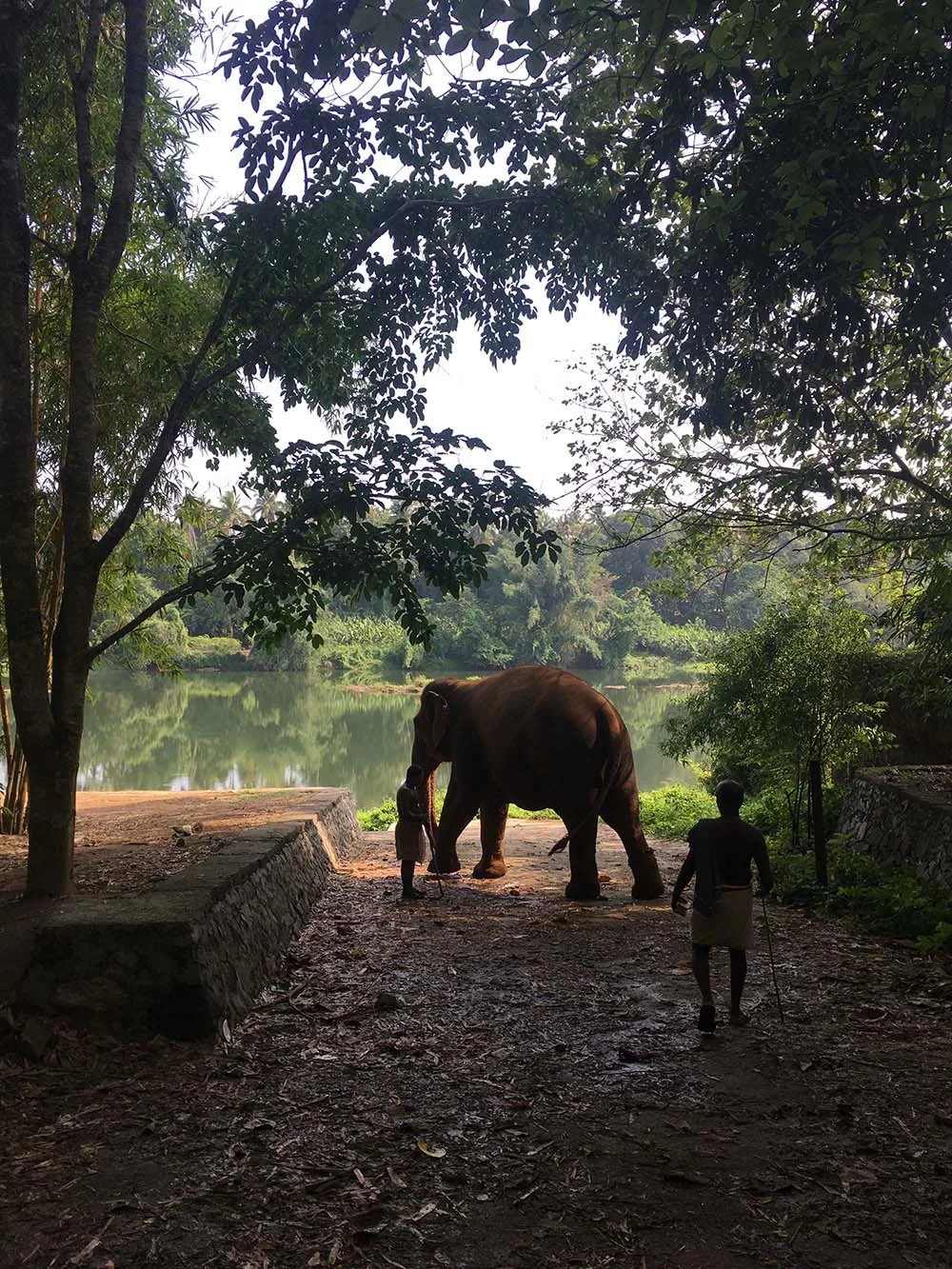 Elephant near a lake with two people in a forested area