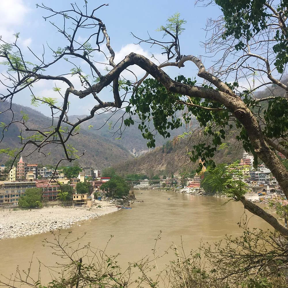 Scenic view of a river flowing through a valley with trees in the foreground, surrounded by mountains and buildings on the riverbank.
