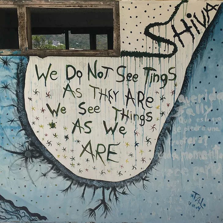 Graffiti artwork with the quote 'We do not see things as they are, we see things as we are' and various abstract designs on a wall.