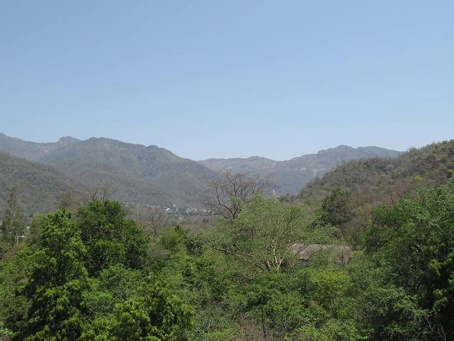 Scenic view of lush green forest with mountain range and clear blue sky in the background.