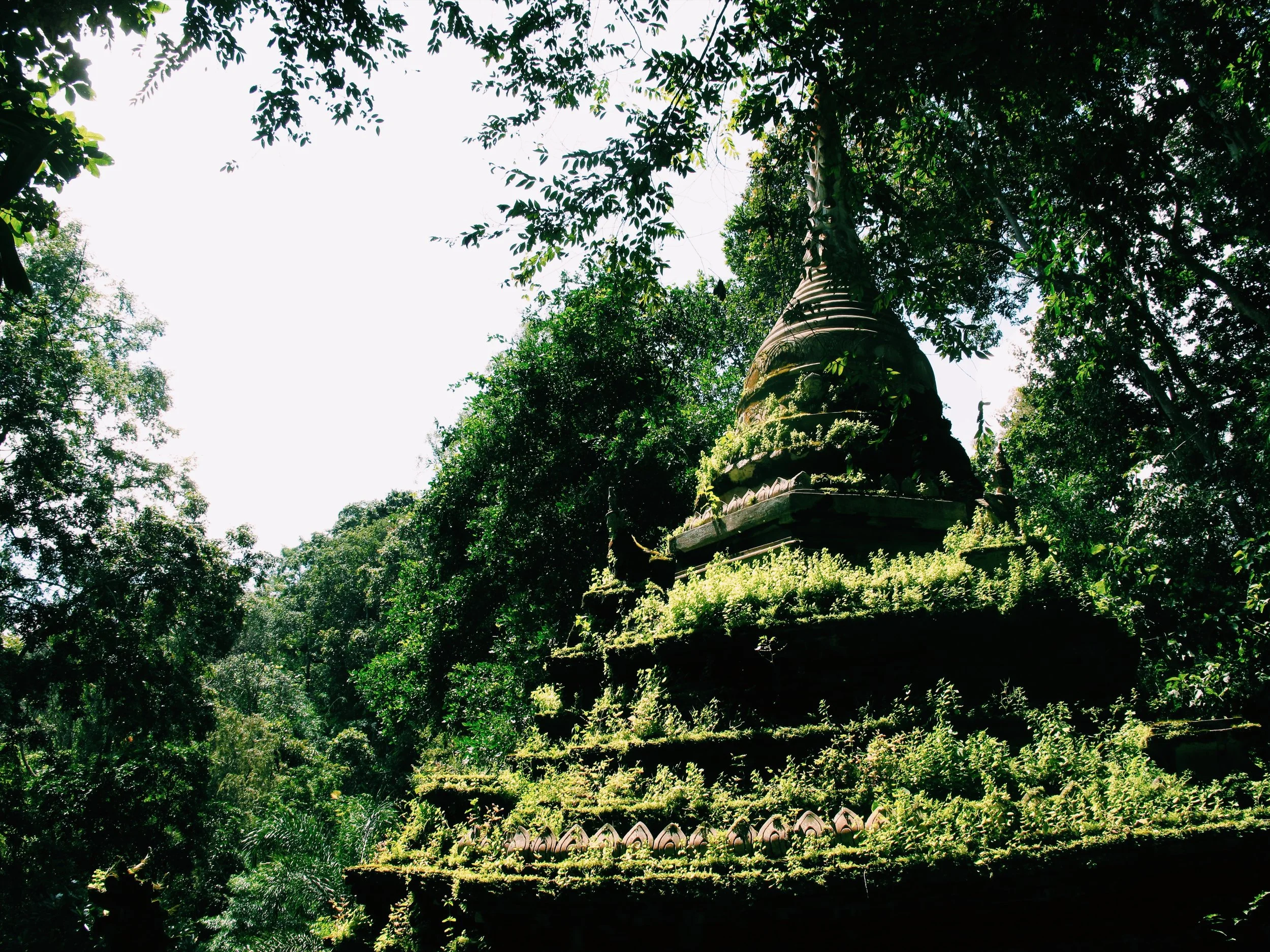 Ancient pagoda covered in lush greenery surrounded by dense forest trees.