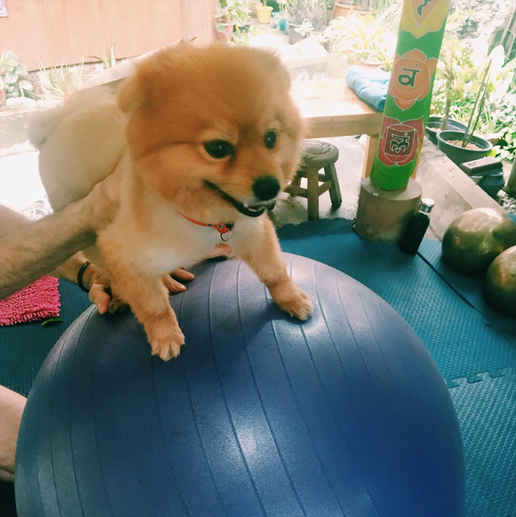The best yoga in Chiang Mai