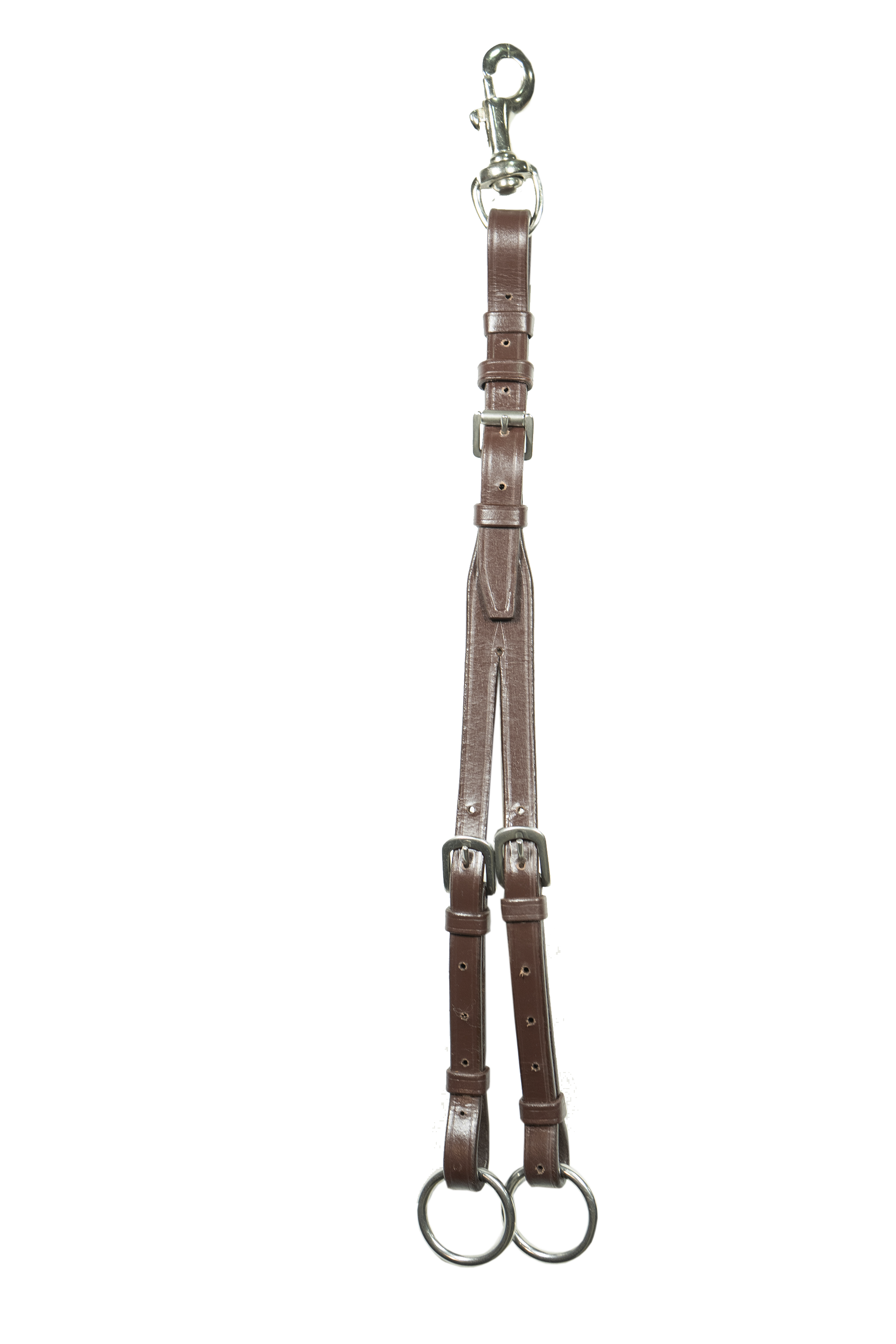 SIGOB_MAR1.png