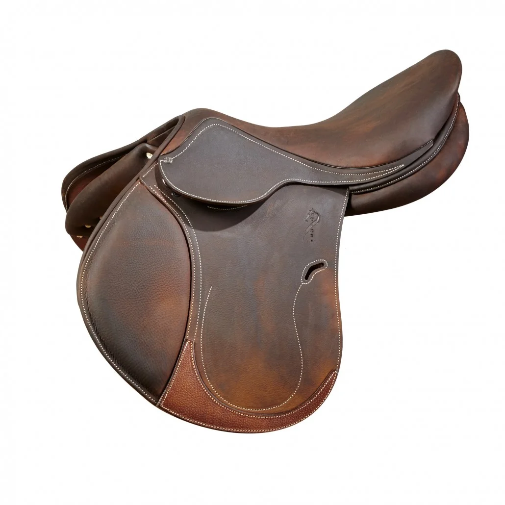 AntaresEvolutionSaddle.jpg