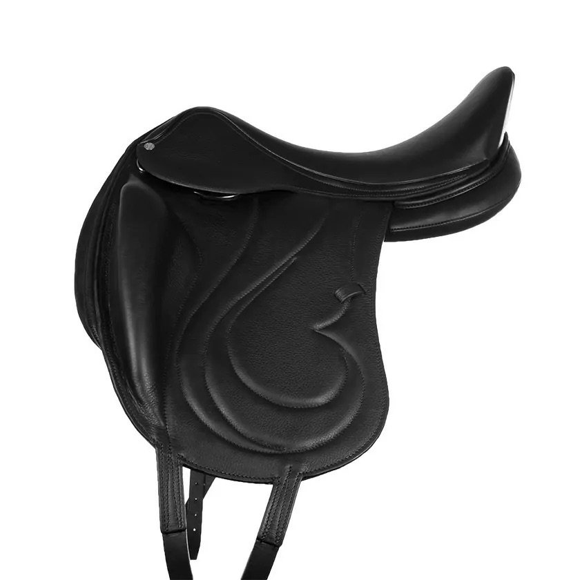 dressage-antares-saddle-alliance.jpeg