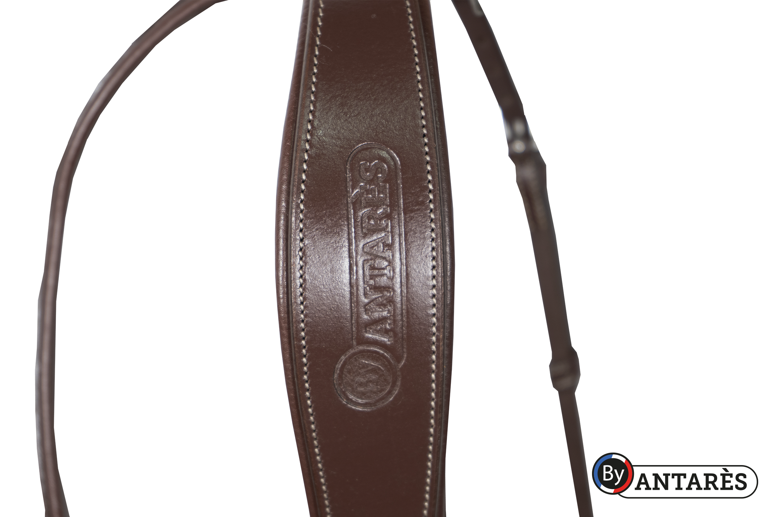 SIGOB_BRD1_PIC_2020_02.png