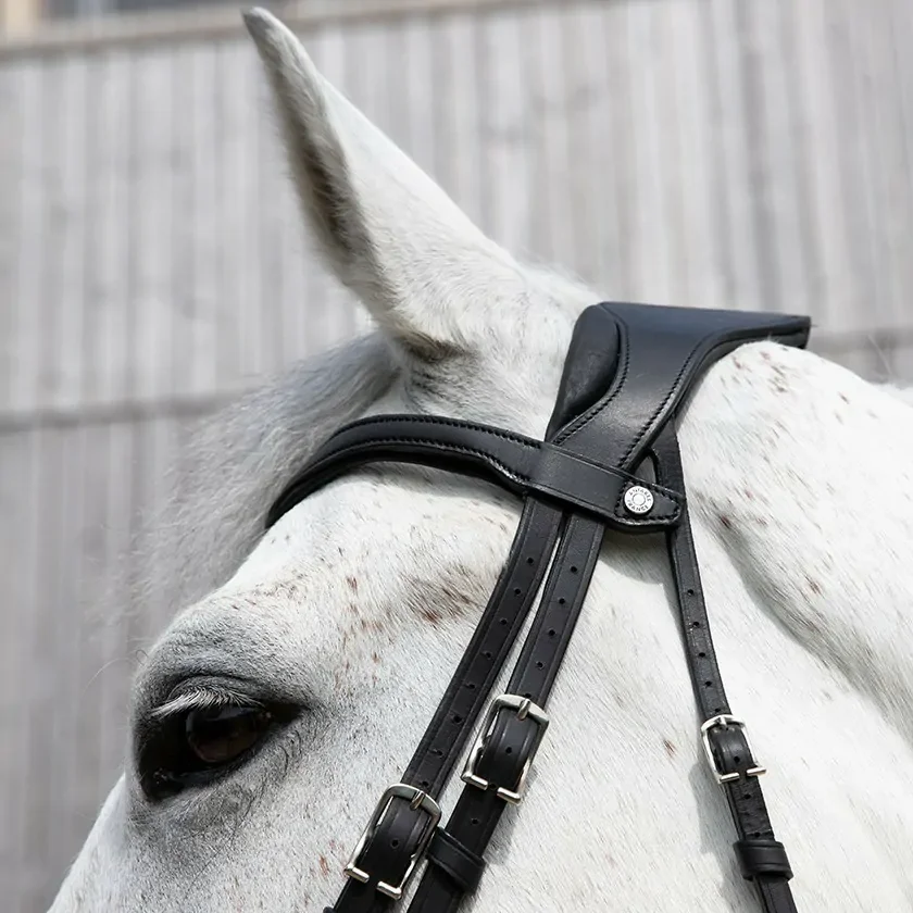 precision-anatomic-comfort-bridle (1).webp