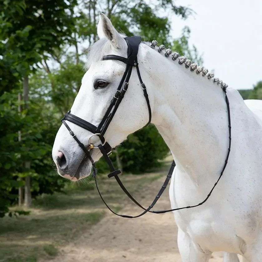 precision-anatomic-comfort-bridle.webp