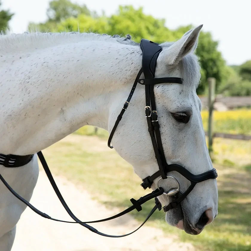Precision-Y-noseband-anatomic-bridle.webp