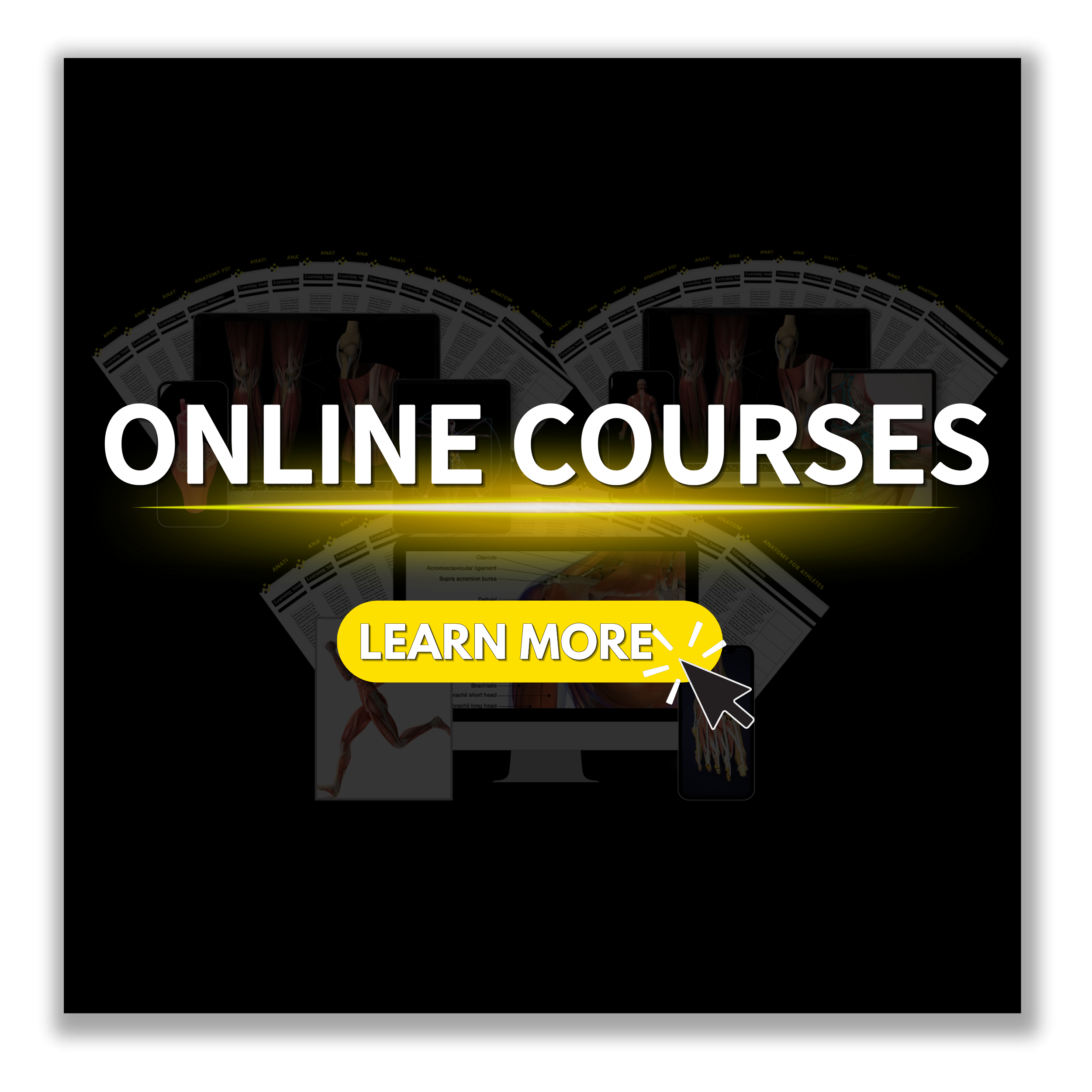 Sprint Academy online learning..png