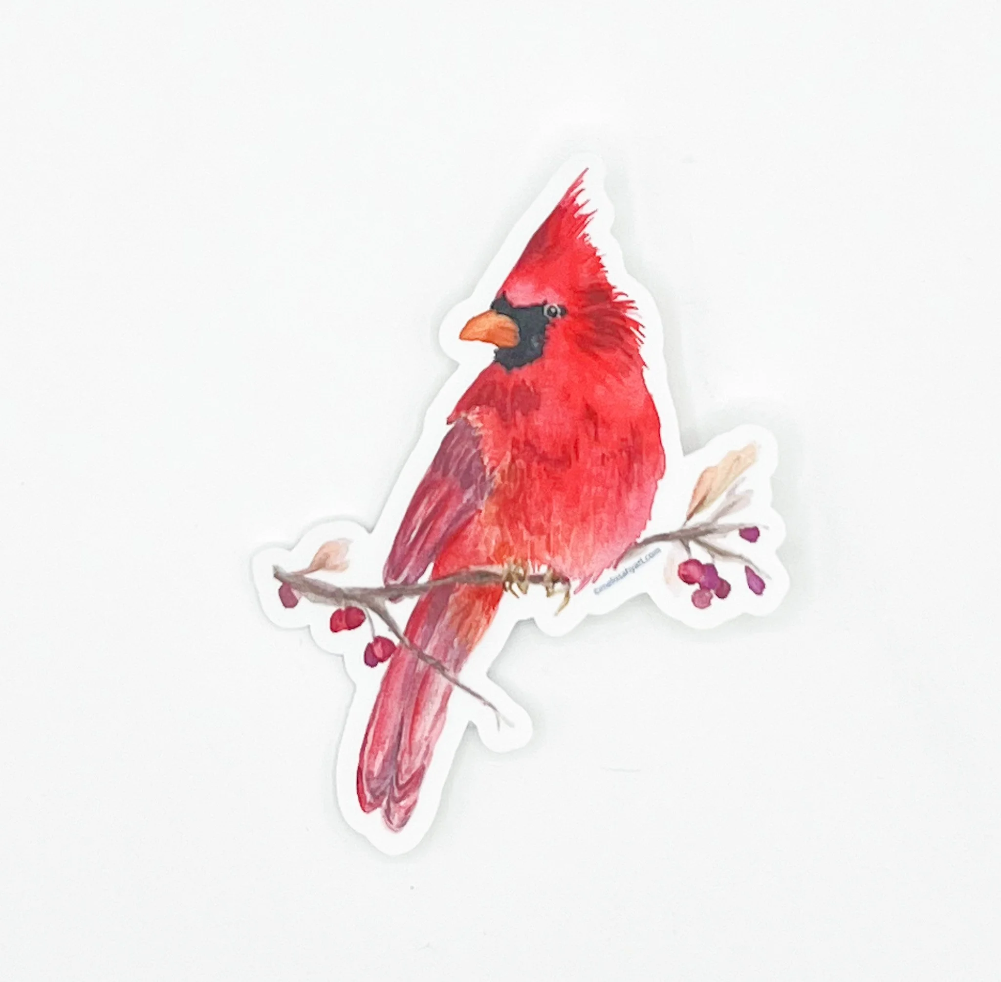 “Red Cardinal” Watercolor Vinyl Sticker