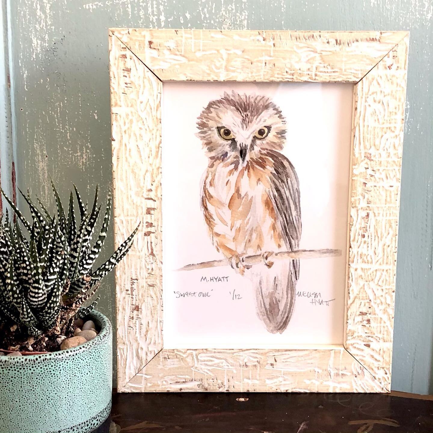 As you all know I love to paint birds. This sweet owl was created by mixing my own greys, browns and black. I don&rsquo;t buy black or grey paint but create my own hues by color mixing. These tips and techniques will be covered in my next Zoom class.