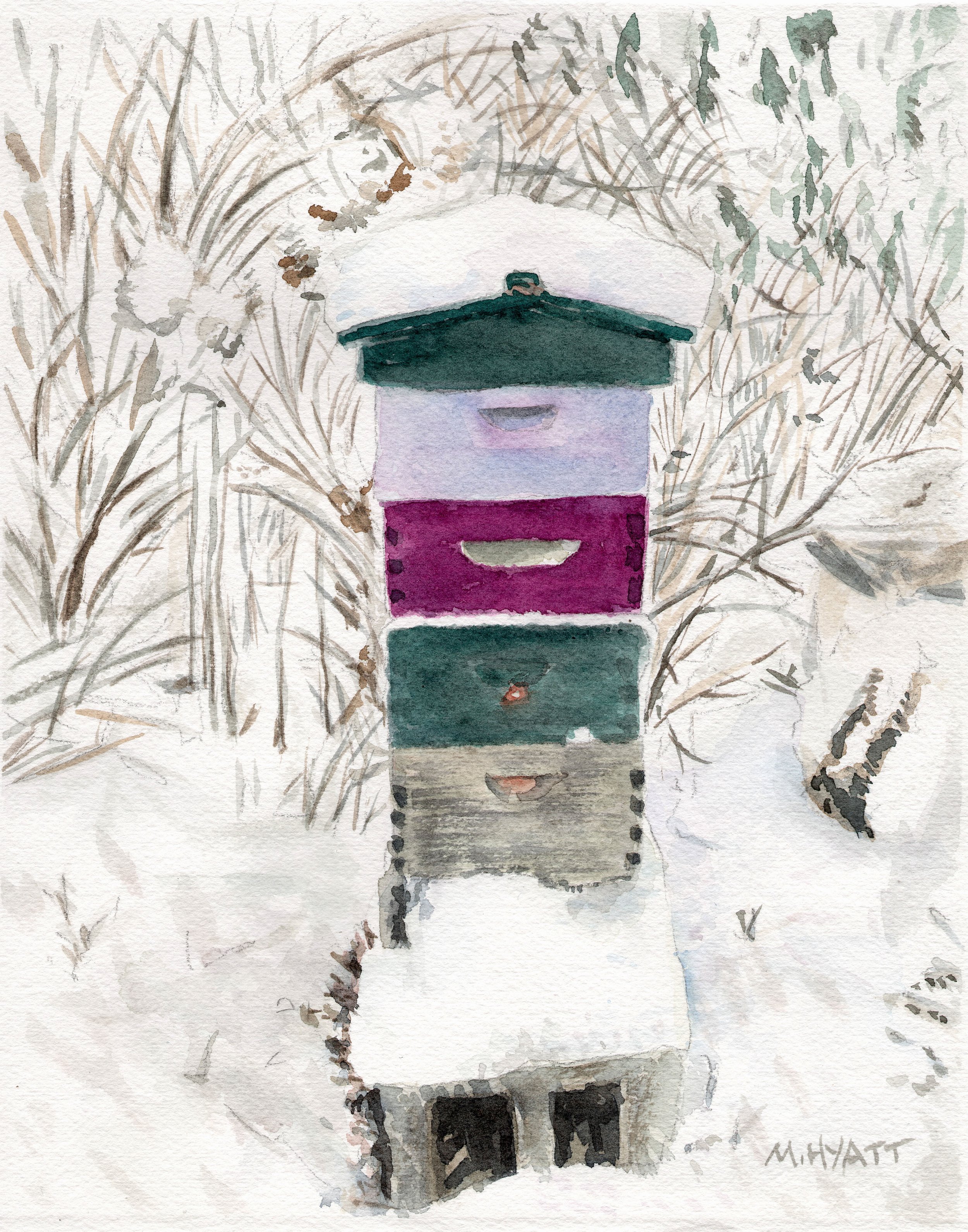winter Bee yard.jpg
