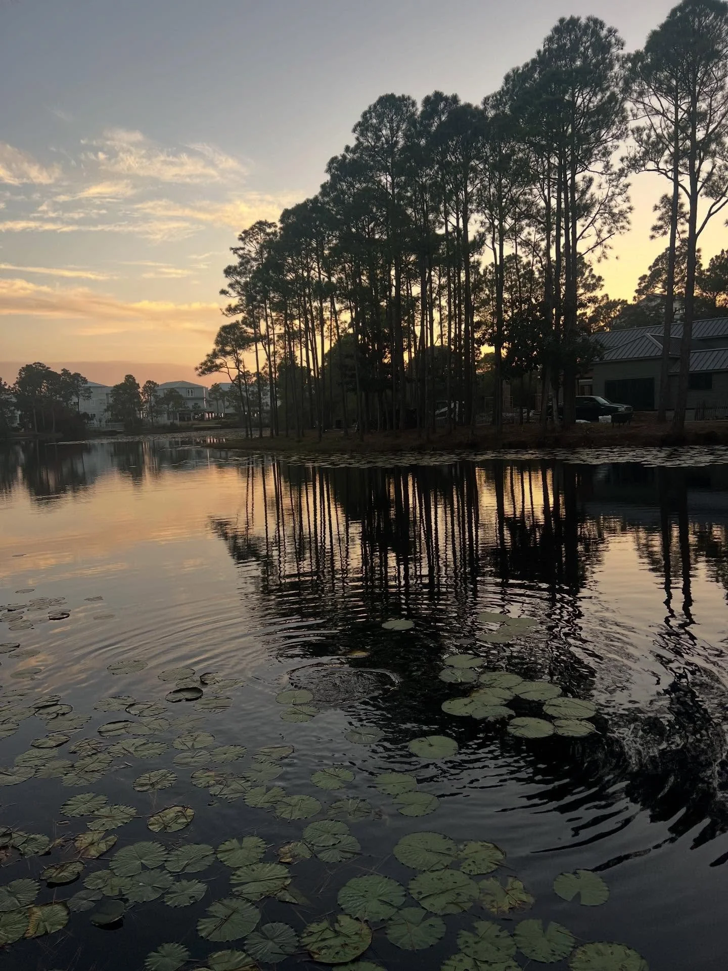 We traveled this Thanksgiving holiday to see my brother and his wife on Florida&rsquo;s panhandle. The sunsets were beautiful, here&rsquo;s my collection for you. If you&rsquo;ve been here for a while you know how much I love a sunset, if you&rsquo;r
