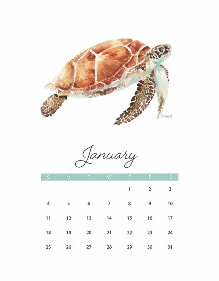 Hi 2026, Hi January and Hi to my favorite sea turtle painting! So excited for 2026, are you!? #calendardesigner #coastal #watercolorartist