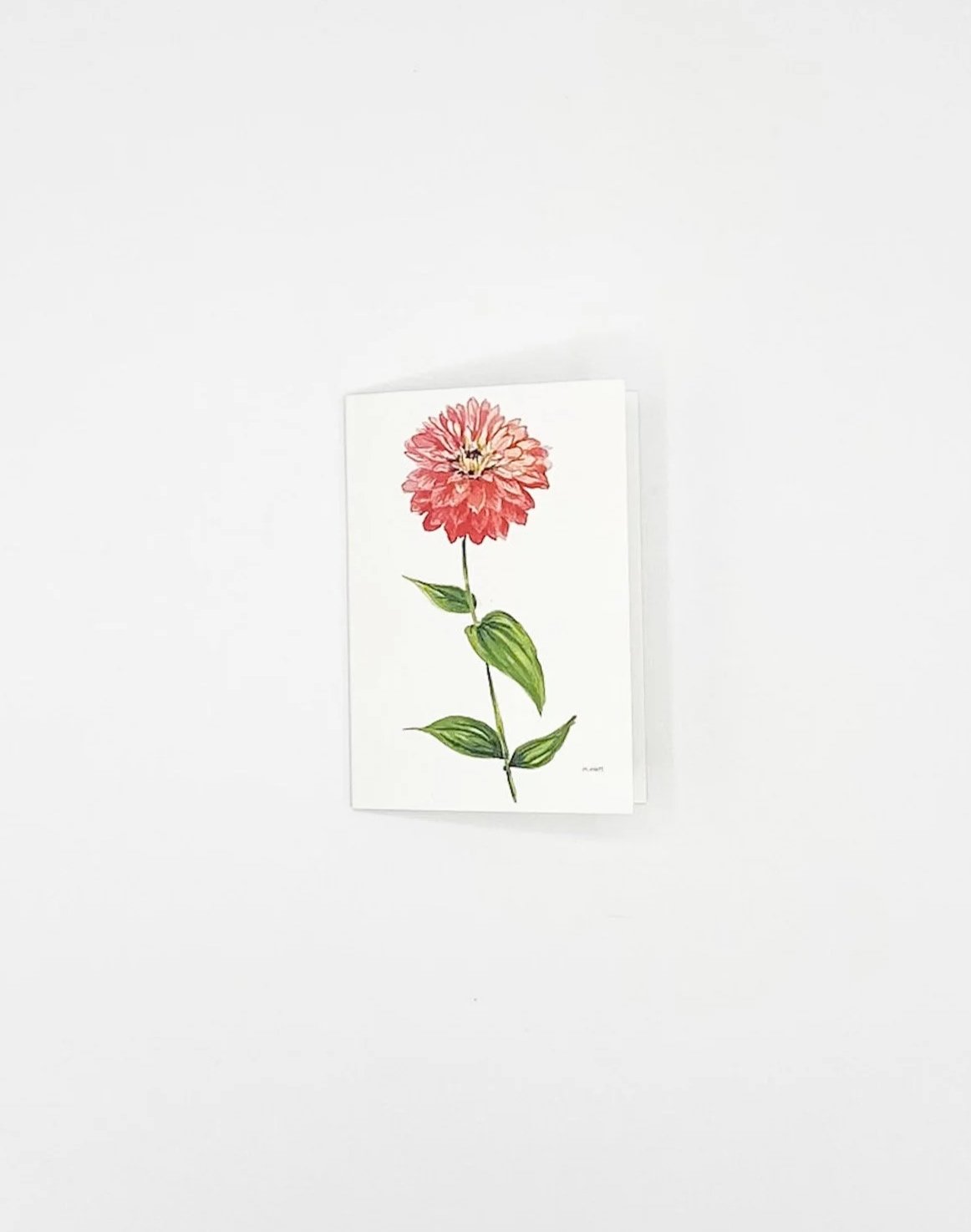 Coral Zinnia — floral Mini Enclosure Card — Blank