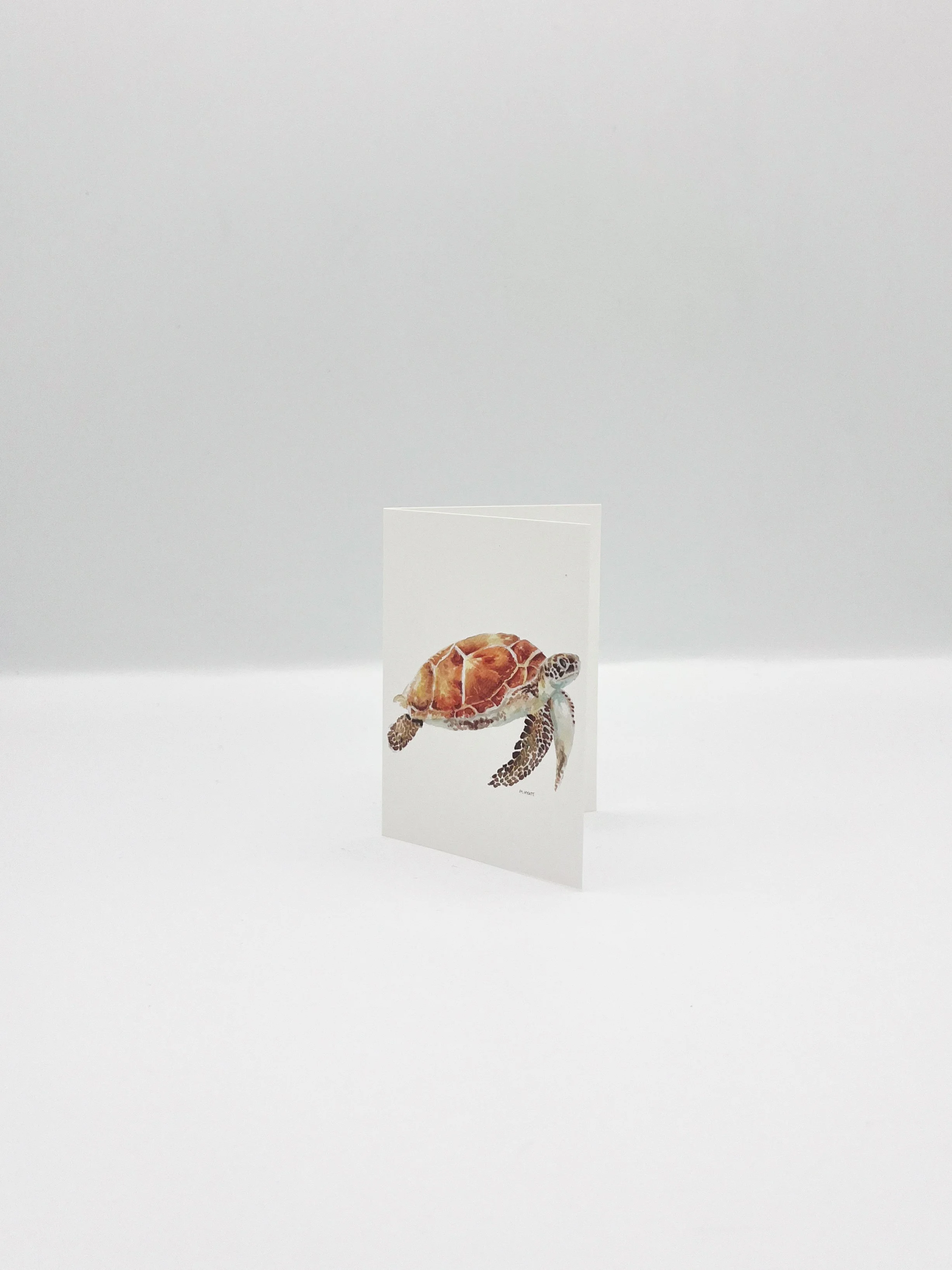 "Sea Turtle" mini coastal watercolor enclosure card & envelope