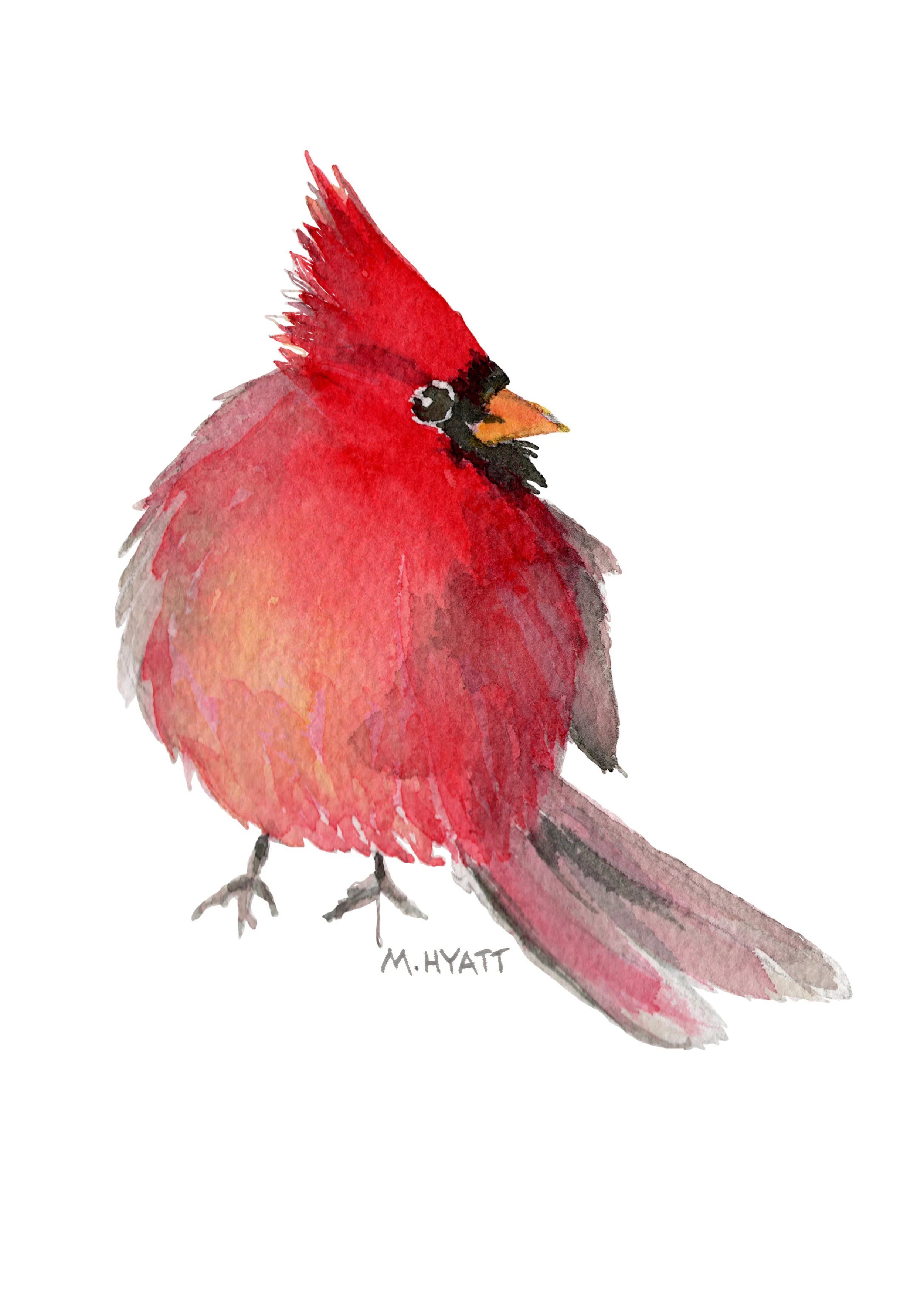 MH417 Mr Cardinal.jpg