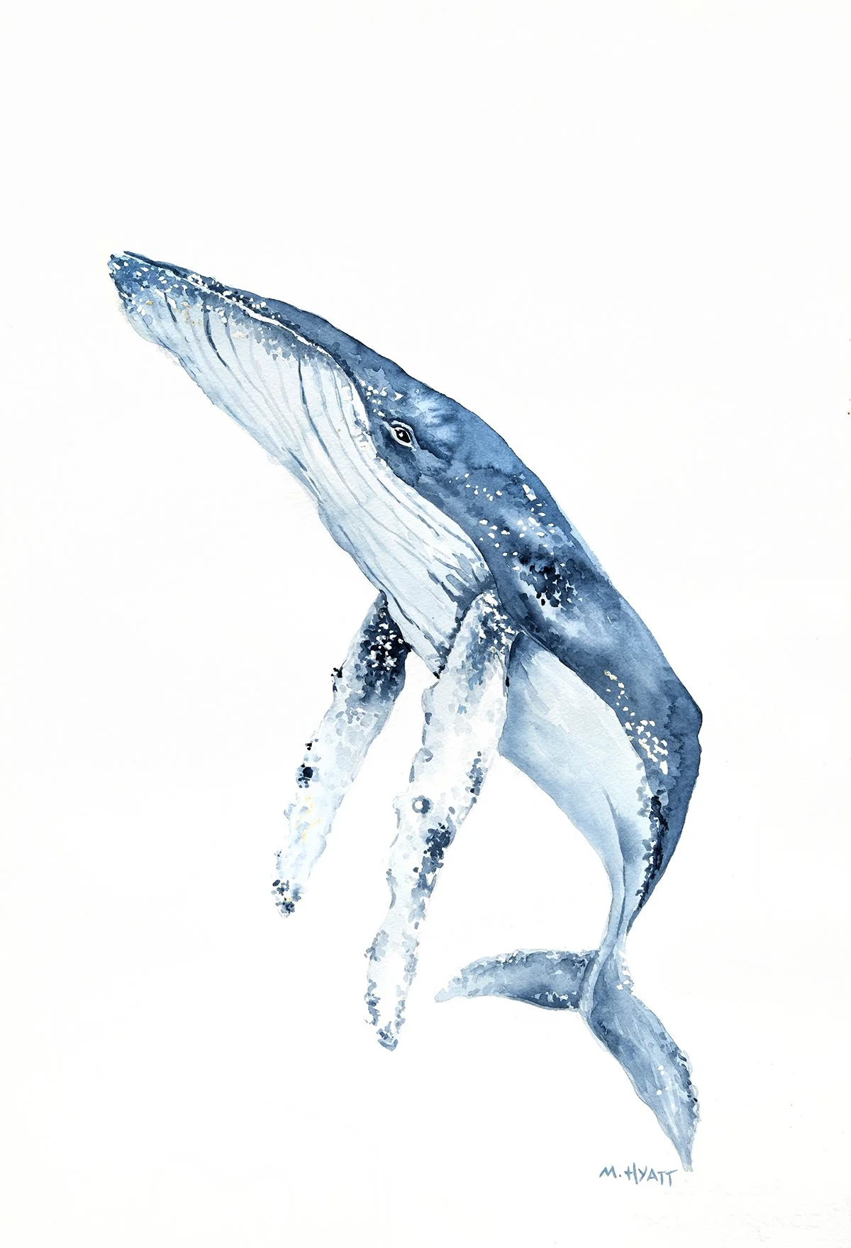 MH910 Humpback Blues_lo res.jpg