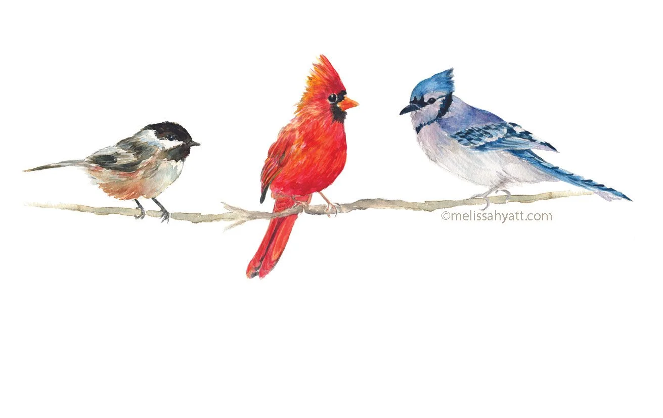 Birdie.jpg