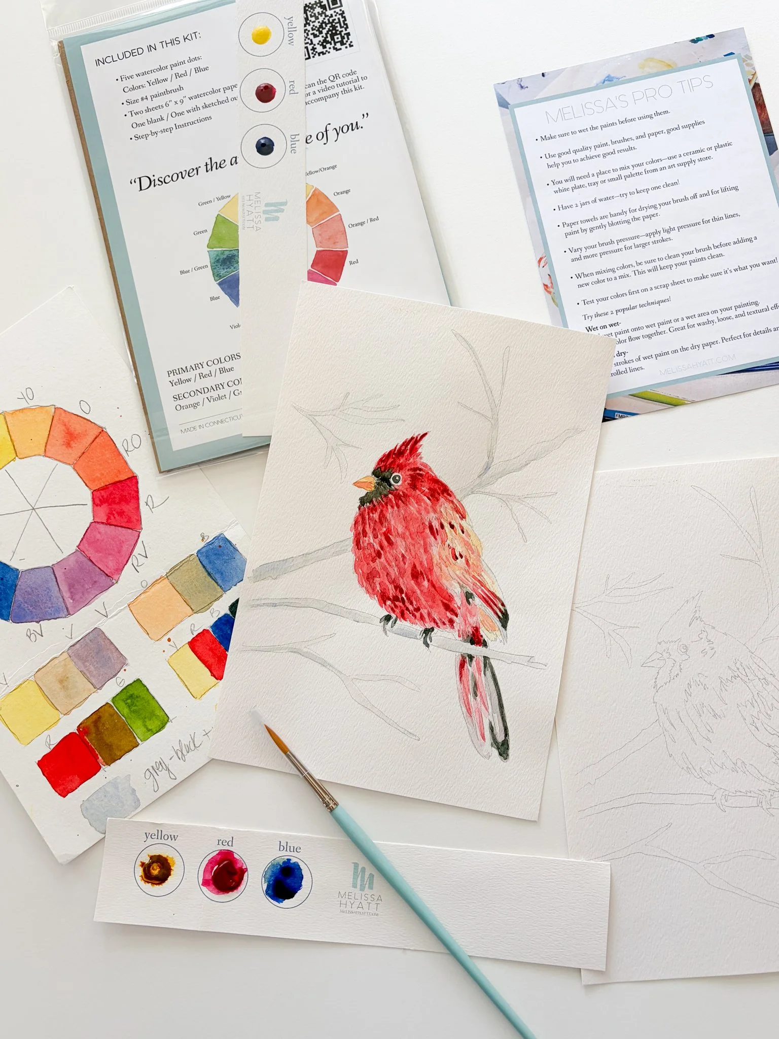 NEW! Watercolor Art Kit - Winter Red Cardinal Holiday DIY