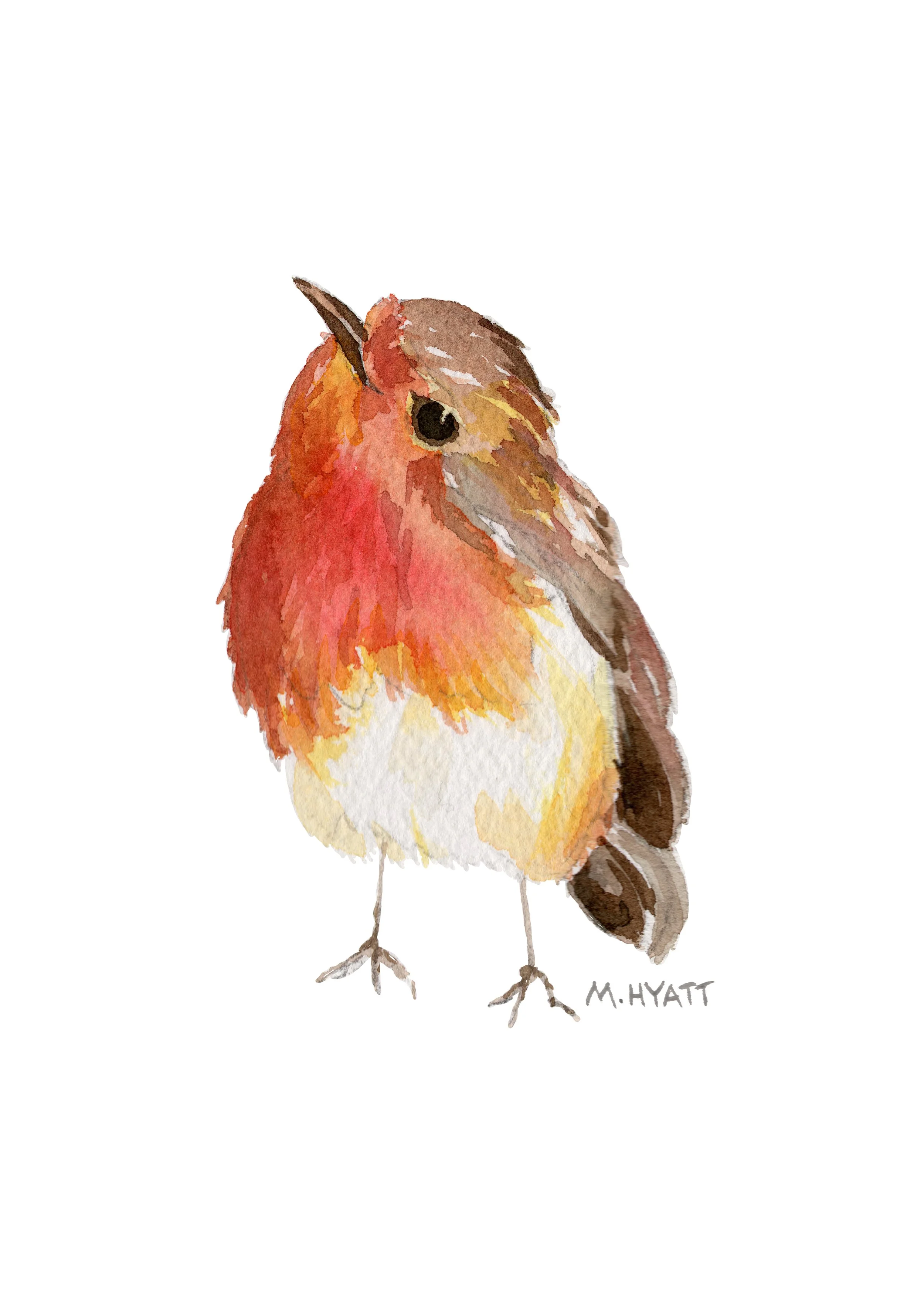 MH415 Looking Up.jpg