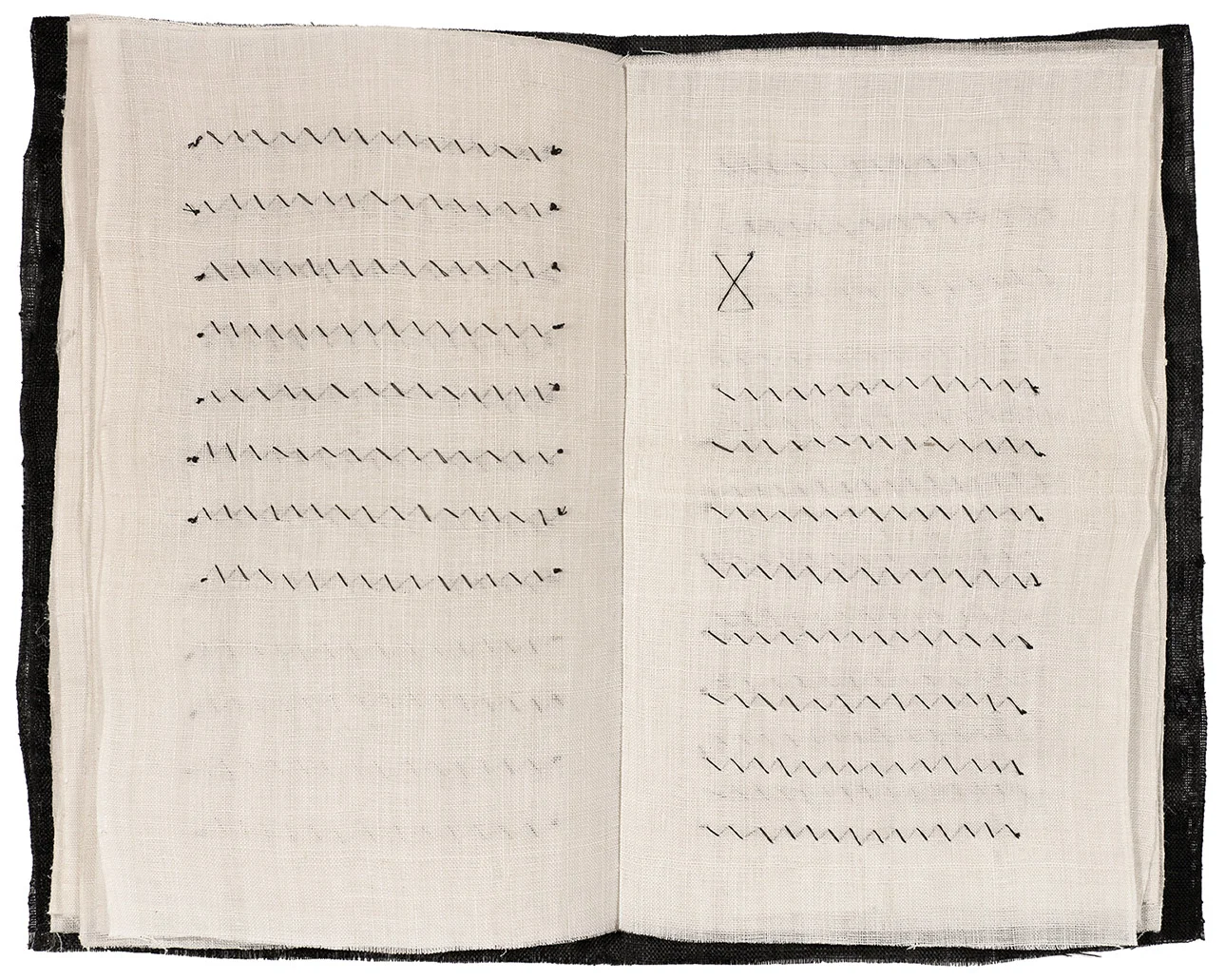 Novel X
