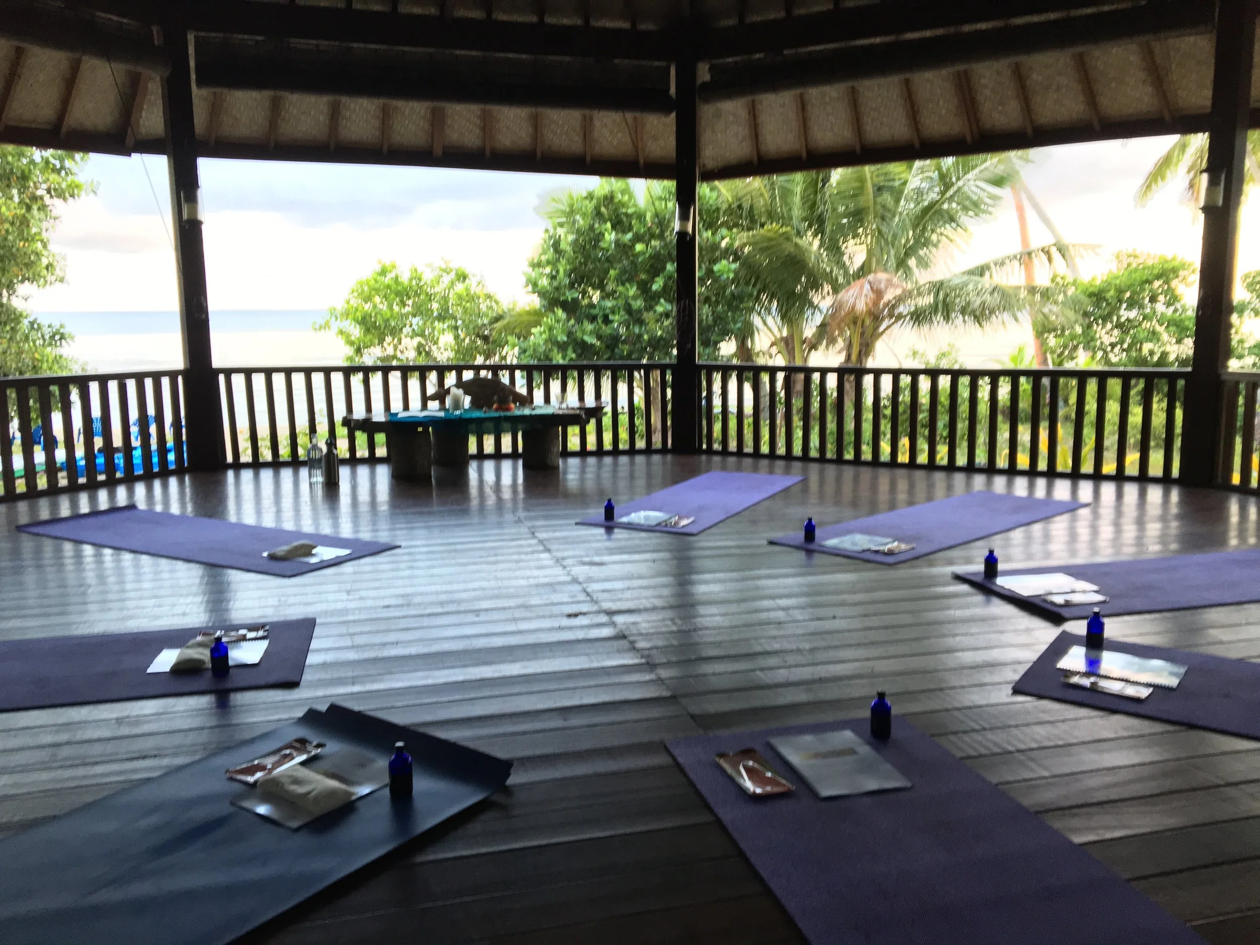 view from yoga room.jpg