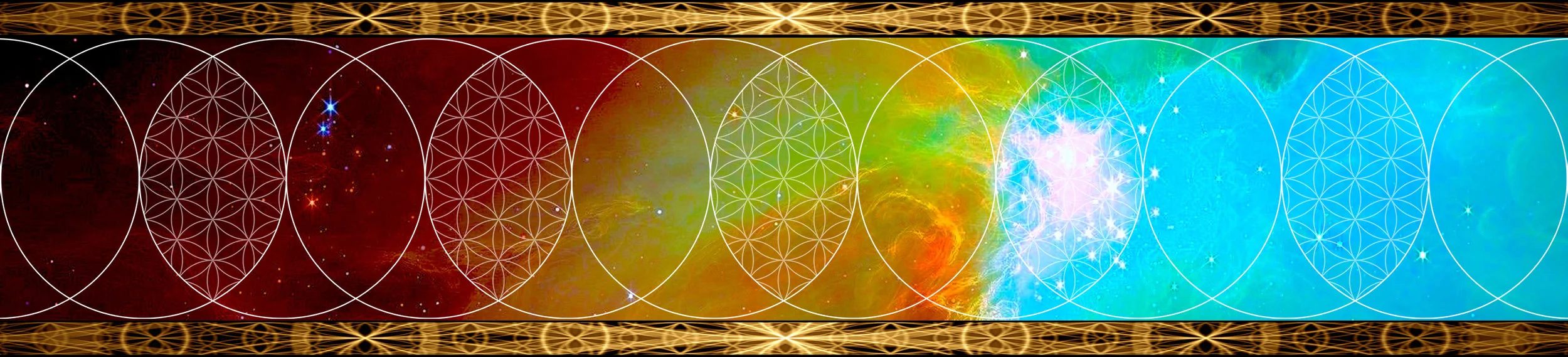 Movements of the Heart - Auckland - FILM EVENING