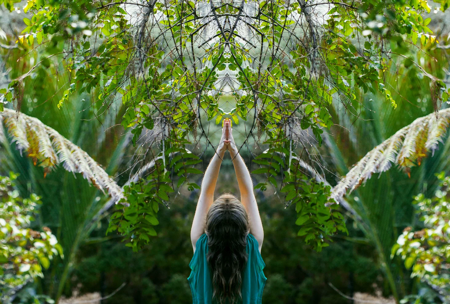 SOUL SOMATICS - 100 Hour Healing Arts Foundation Training