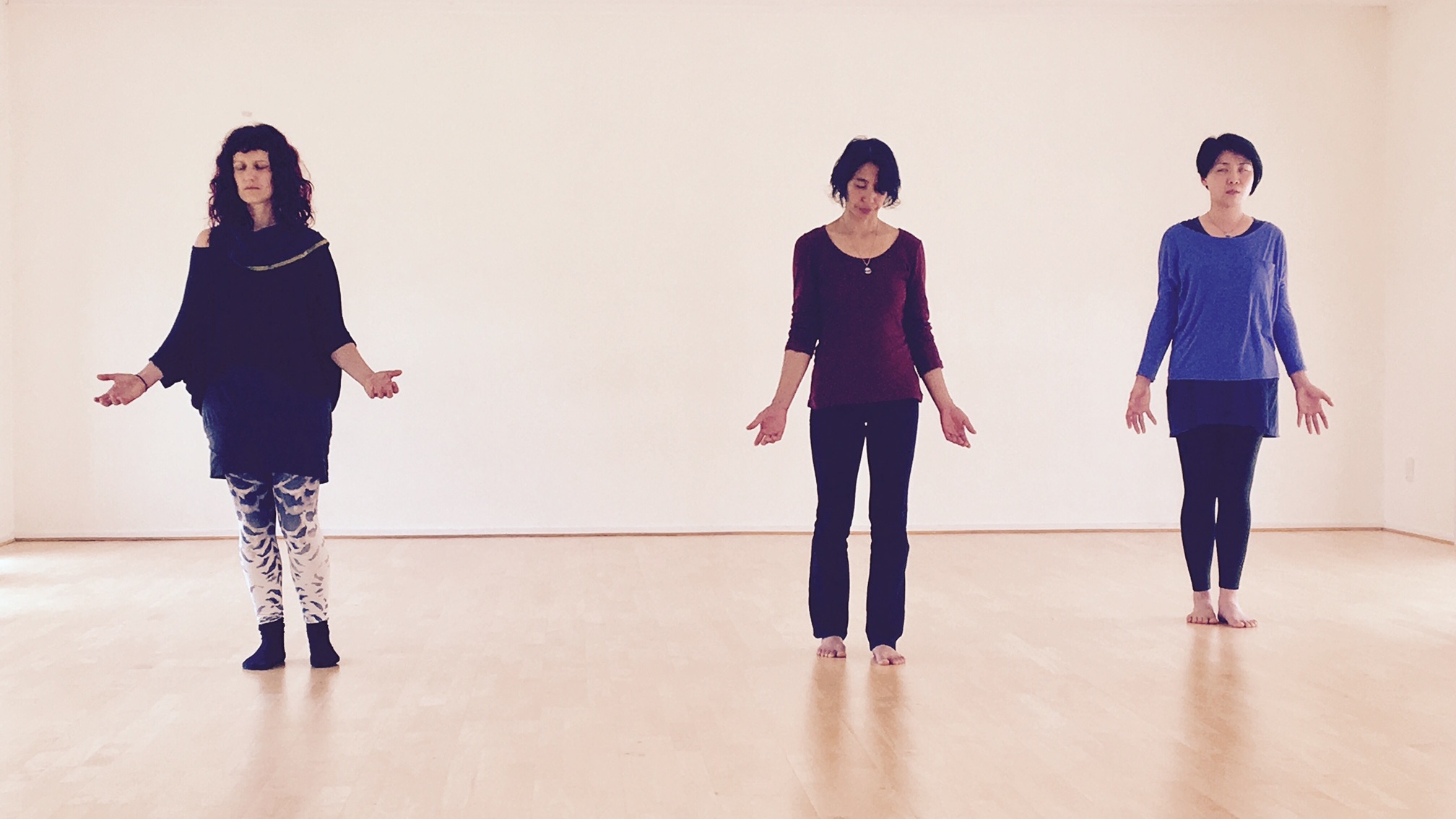 Shin Somatics Movement Therapy and Yoga Teacher Training