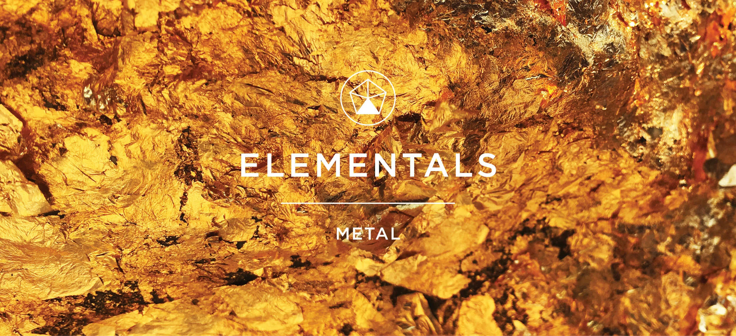 Elemental Alchemy - (Qi Gong + Energy Medicine Training) - METAL