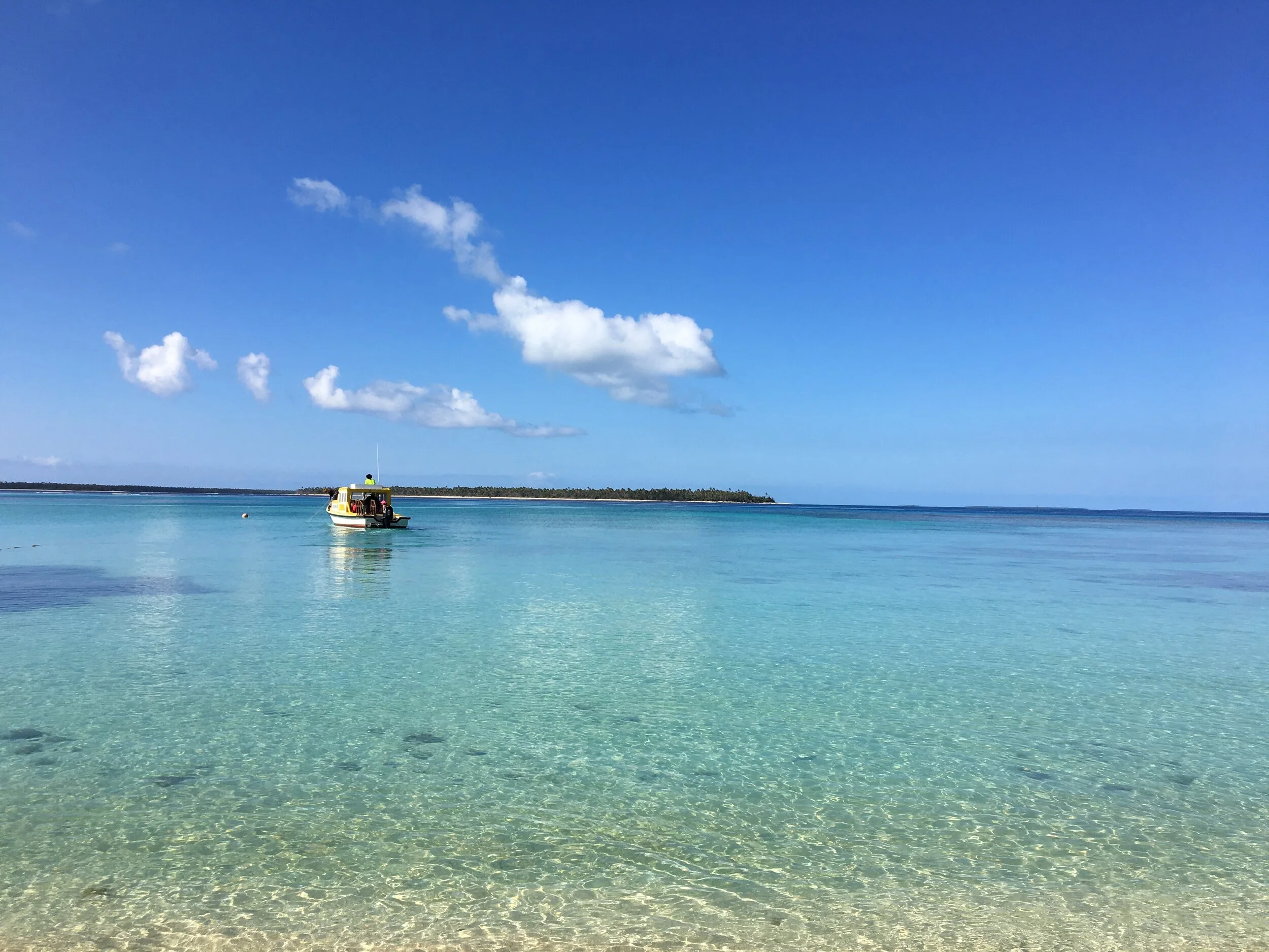 can it be this beautiful.jpg