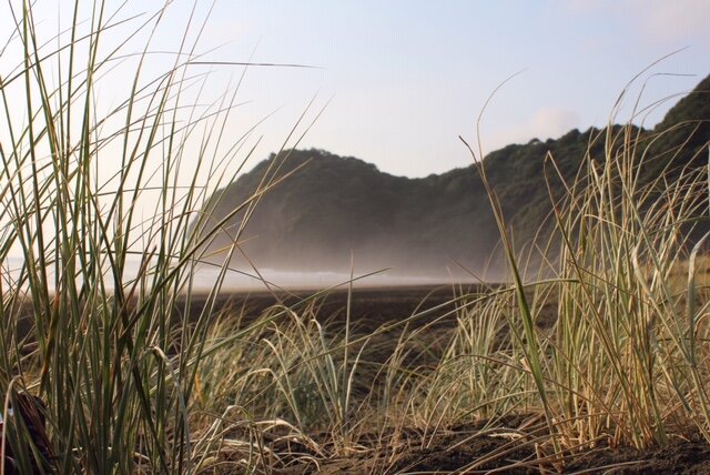 Earth Ritual ONLINE - Community Activation