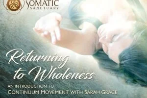 Continuum Dive - ONLINE