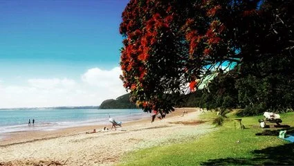 The Annual SOUL Christmas BEACH Potluck