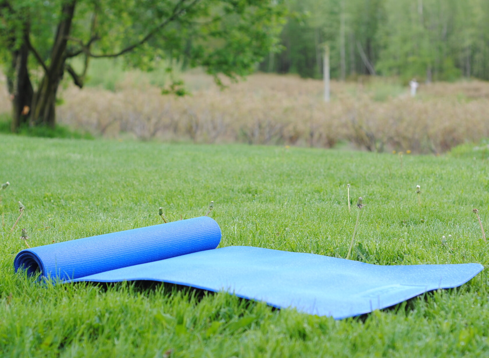 yoga mat on the grass.jpg