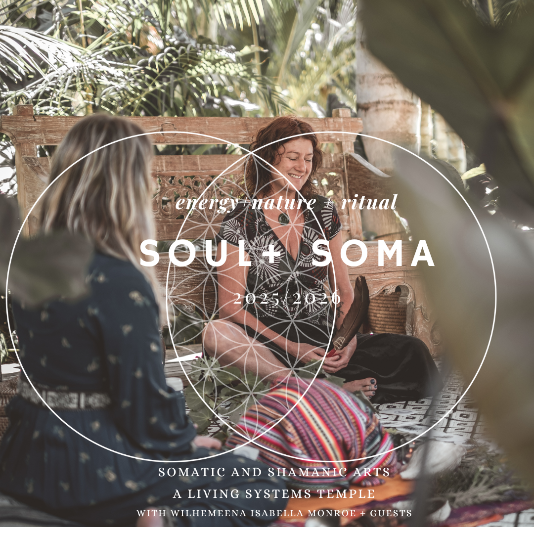 SOUL + SOMA - 200 Hour  - Healing Arts Foundational Training