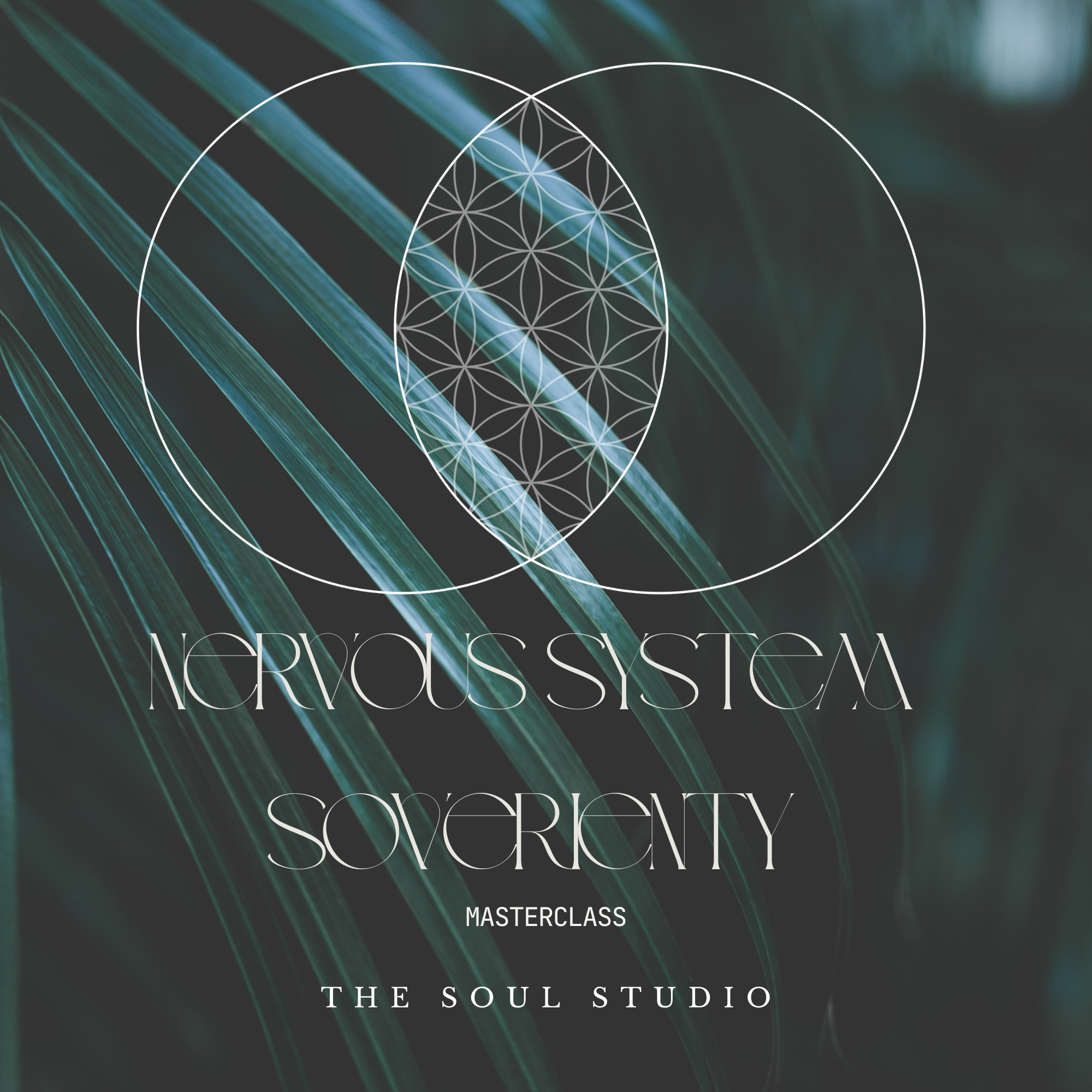 NERVOUS SYSTEM SOVERIENTY - the MASTERCLASS SERIES