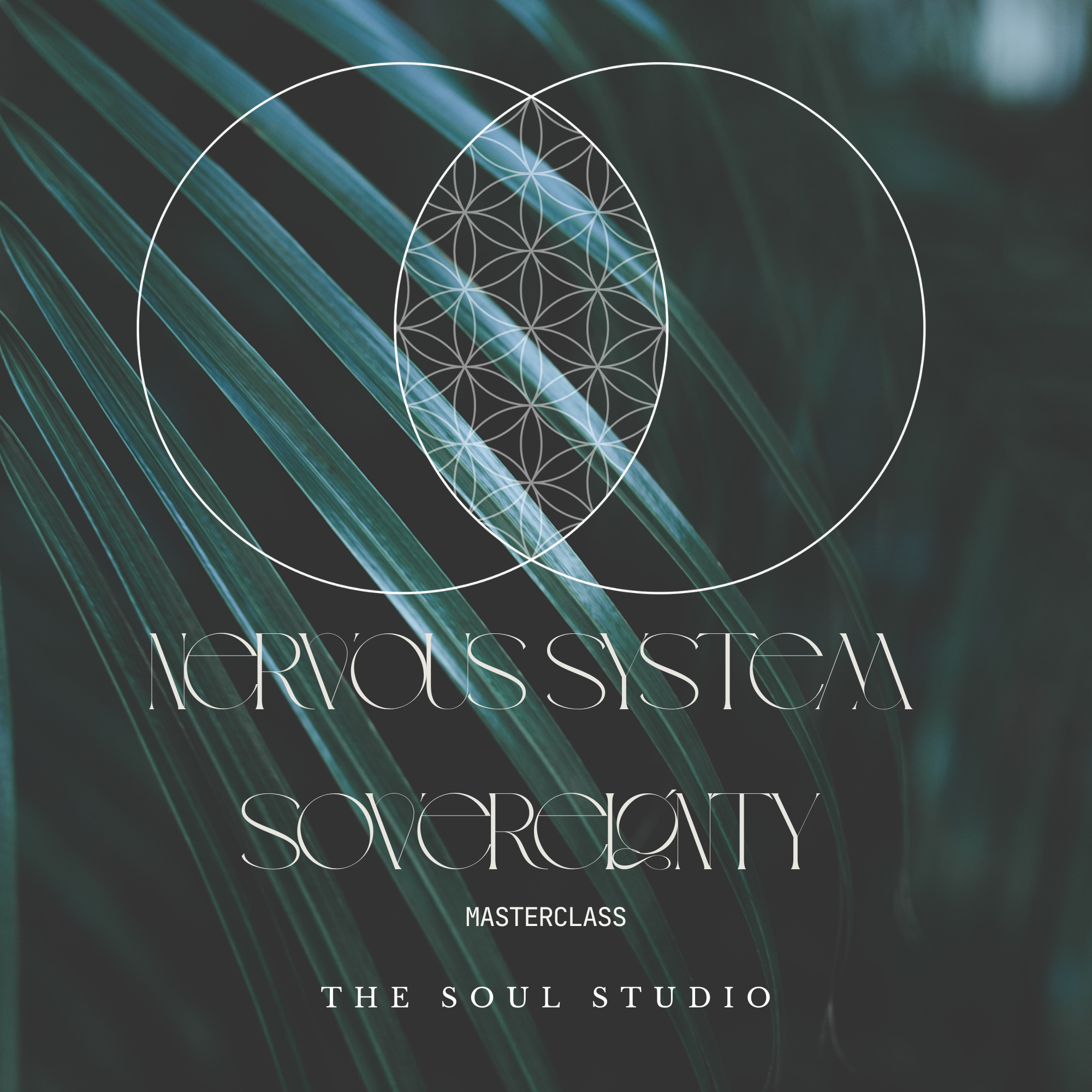 NERVOUS SYSTEM SOVEREIGNTY - the MASTERCLASS SERIES