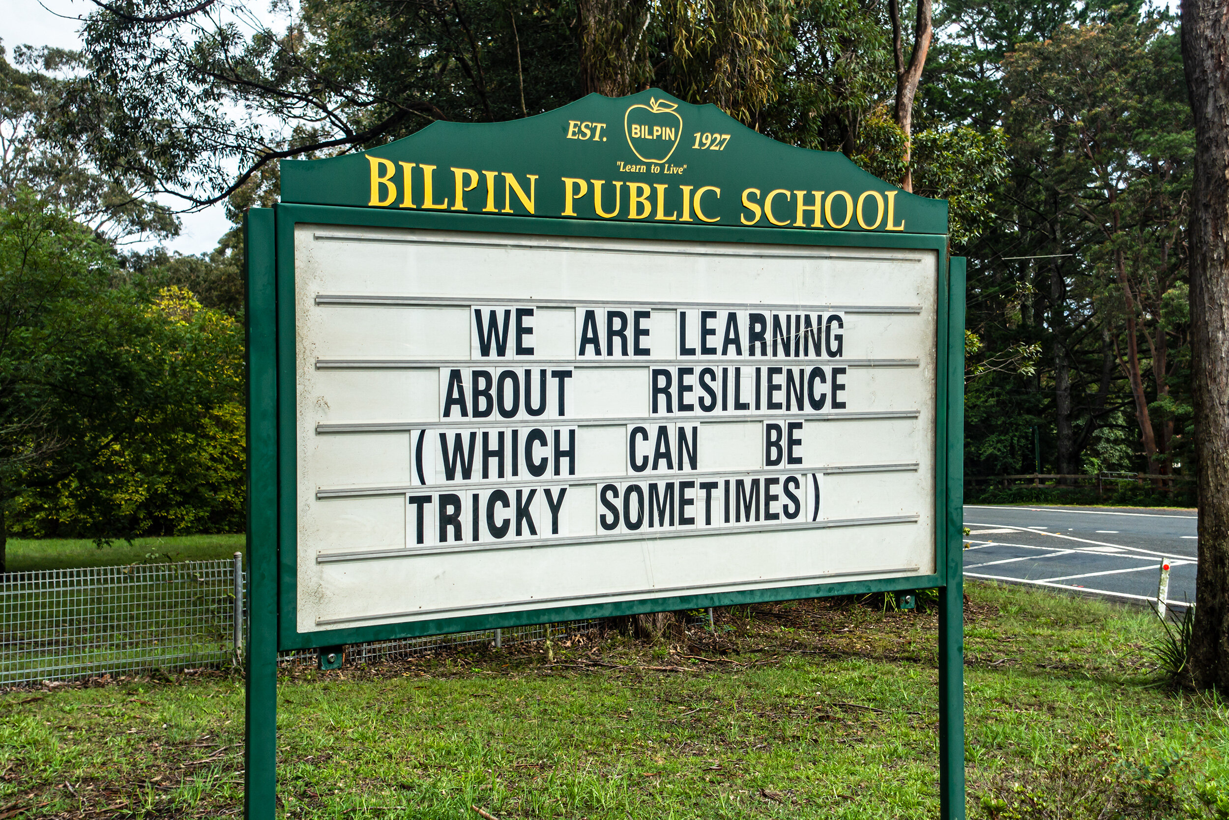 Blue Mountains, Bilpin 2020. Mega bushfires were just the beginning of learning  how tricky resilience could be in 2020.