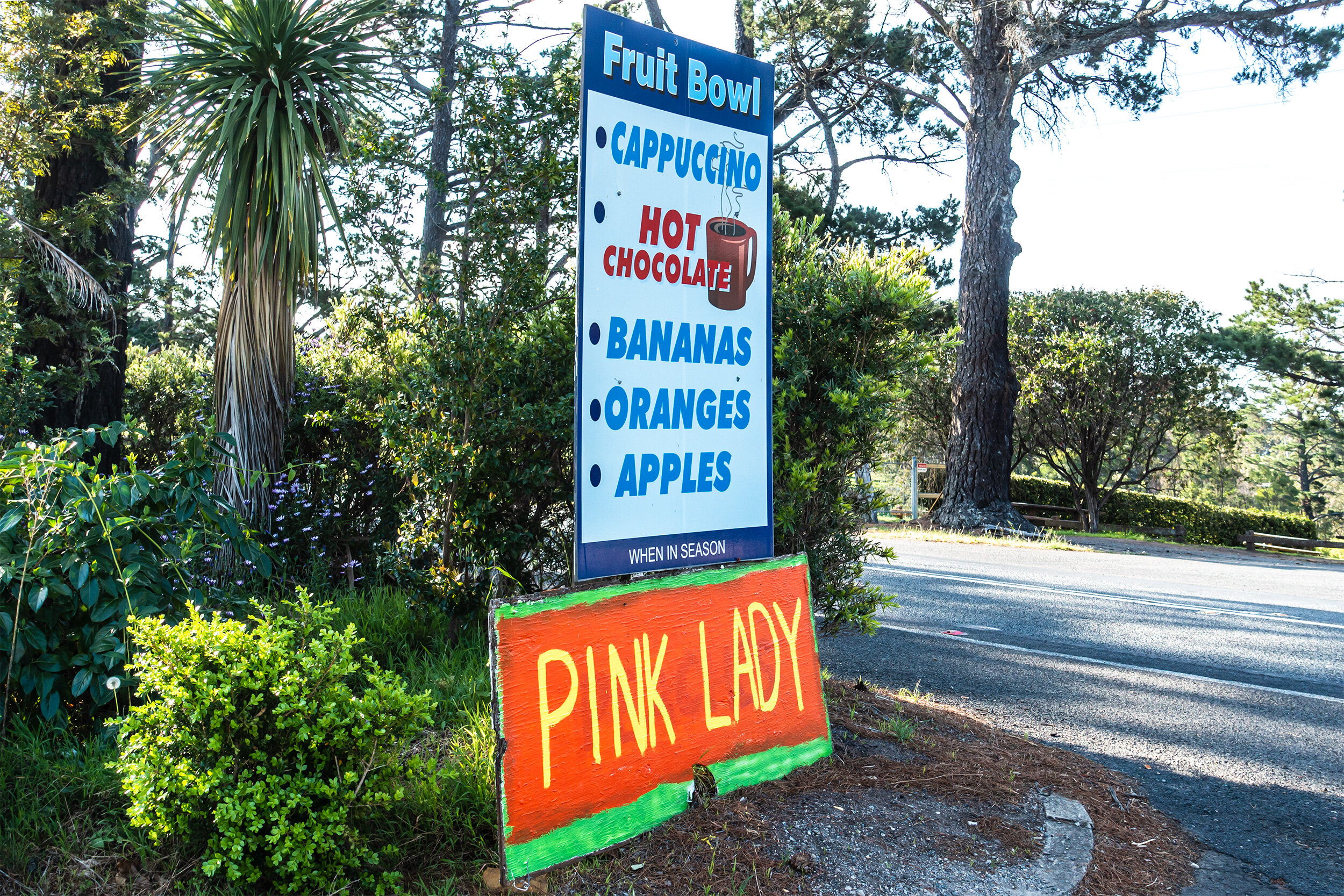 Blue Mountains, Bilpin Fruit Bowl 2014. Pink Lady from the original apple enterprise line.