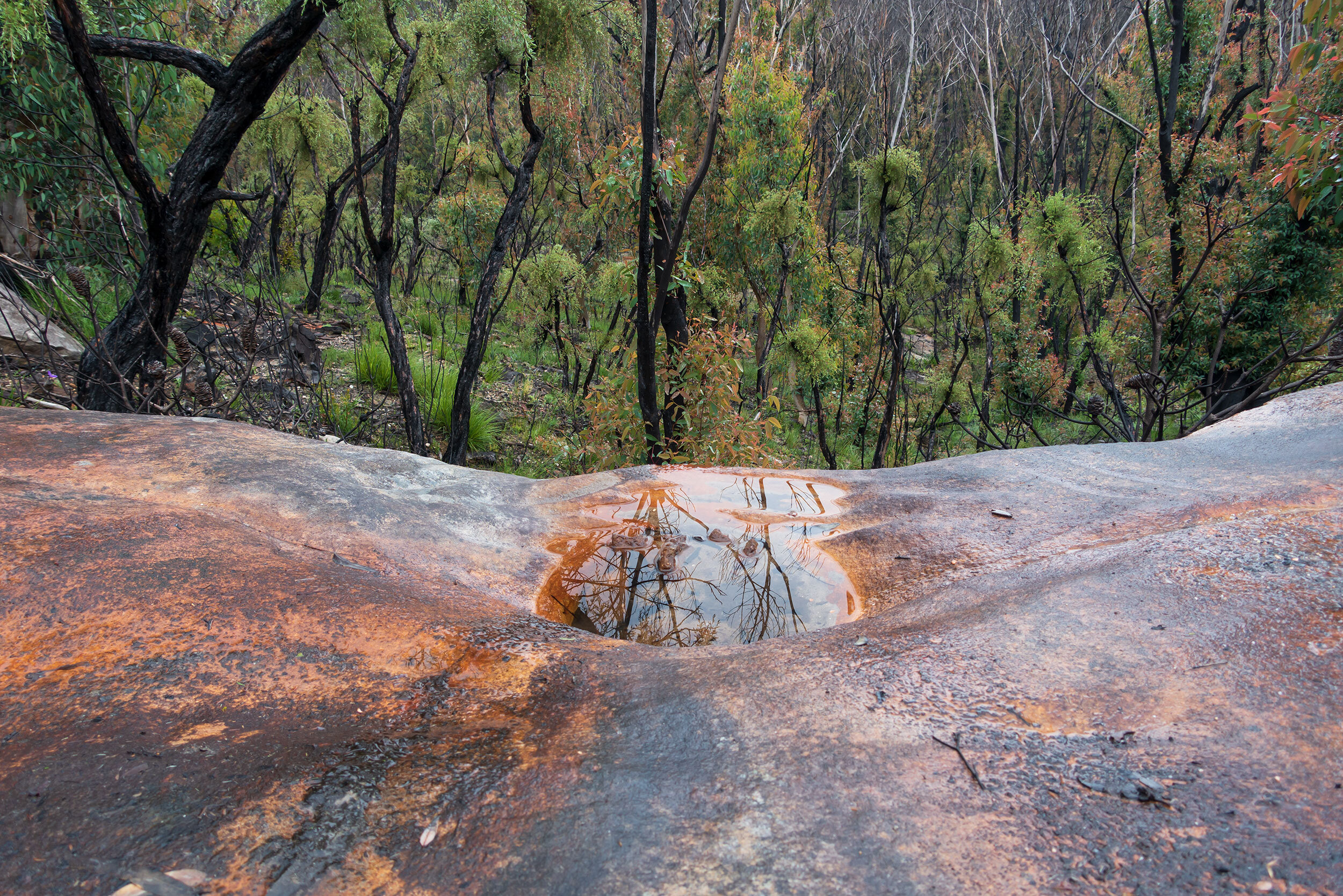 Colomatta, Gundungurra and Darug lands, rubbing grooves revealed by mega bushfires 2019/20.